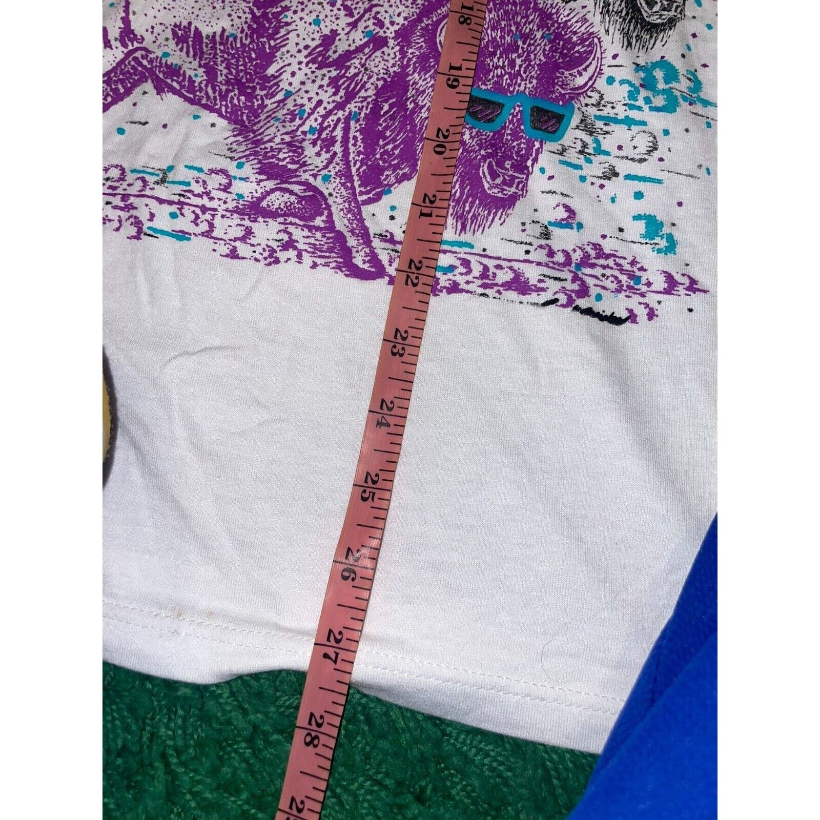 Jerzees Vintage Big Sky Shirt Badlands Buffalo Tee Test Print 90s M Size US M / EU 48-50 / 2 - 13 Thumbnail