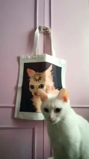 Japanese Brand Cute Cat Shopping Bag Shopper Bags Tote Canvas Size ONE SIZE - 3 Thumbnail