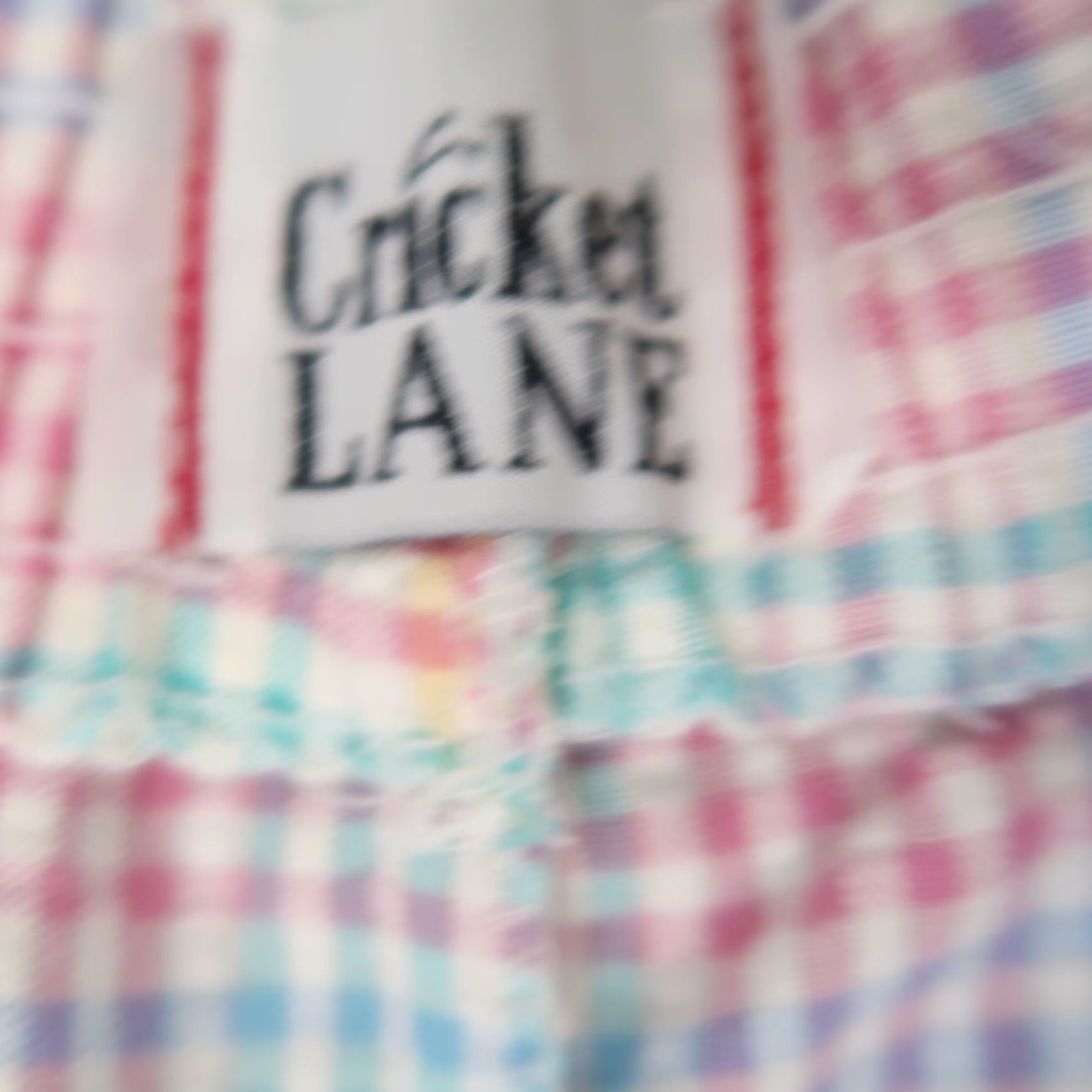 Vintage VINTAGE 90s Cricket Lane blue and pink gingham mid length Bermuda shorts Women Size 12 Check 90s theme Vintage Size 34" / US 12 / IT 48 - 4 Thumbnail