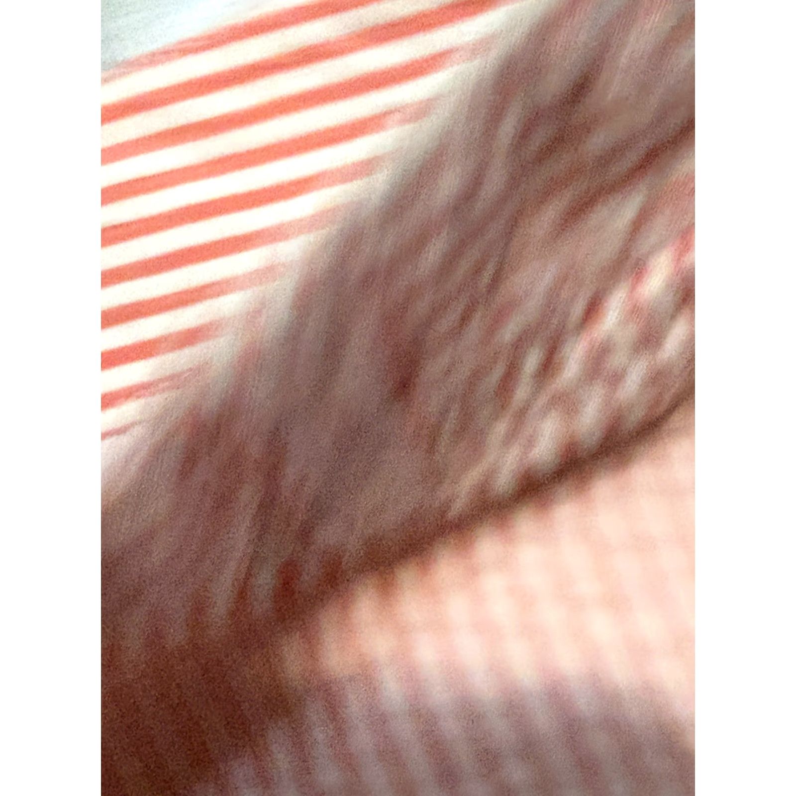 Loft LOFT Shorts Women's Size 0 Pink White Striped Casual Shorts Size 25" / US 0 / IT 36 - 5 Thumbnail