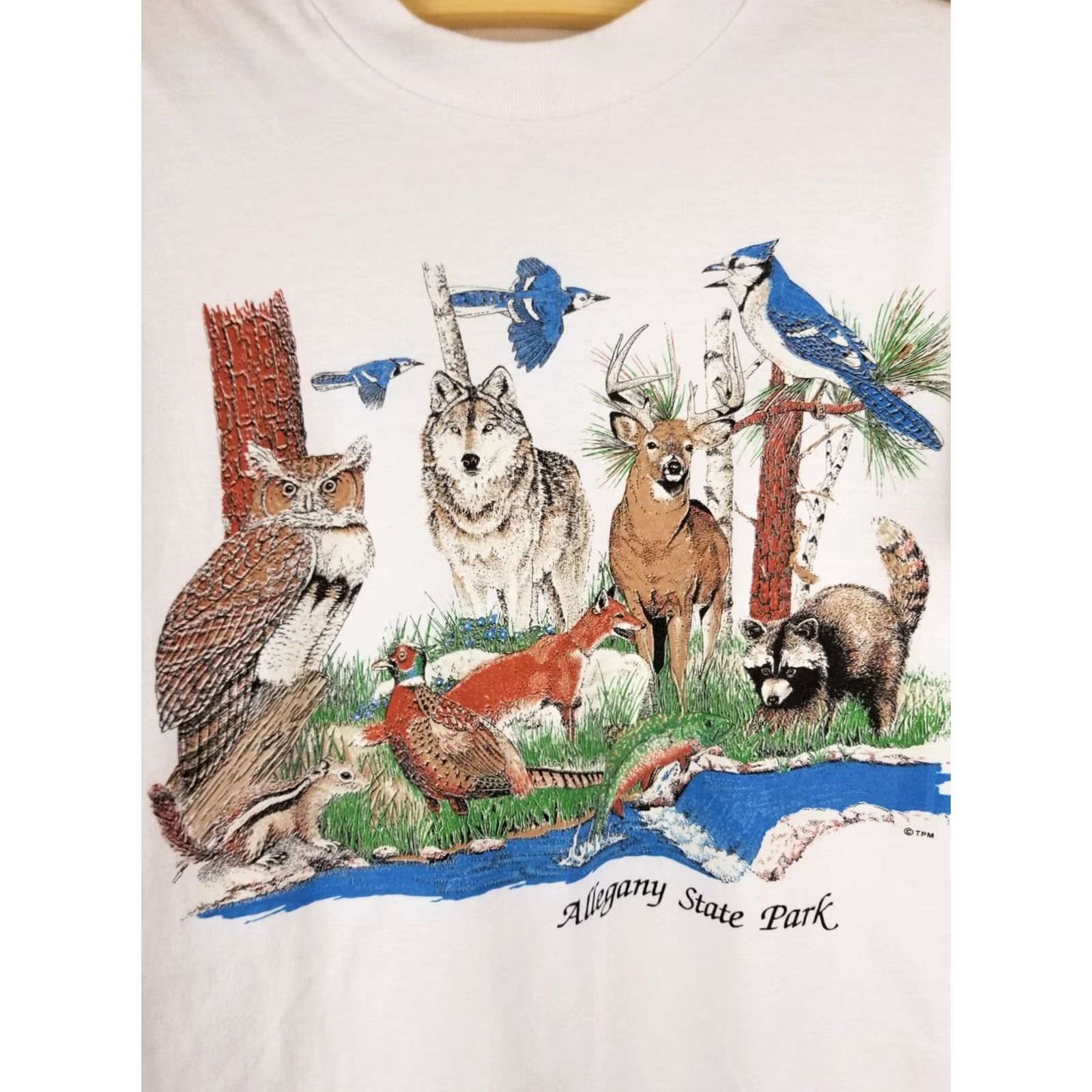 Vintage VINTAGE 80' ALLEGANY STATE PARK ANIMALS SINGLE STITCH WHITE T-SHIRT SZ LARGE MEN Size US L / EU 52-54 / 3 - 2 Thumbnail