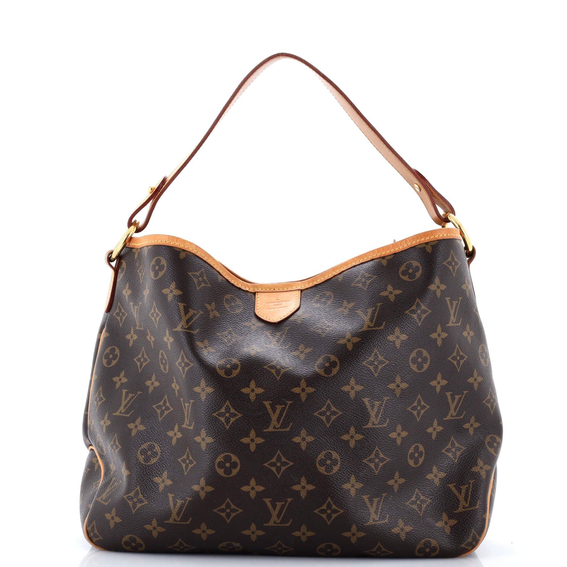 Louis Vuitton Delightful Handbag Size ONE SIZE - 1 Thumbnail