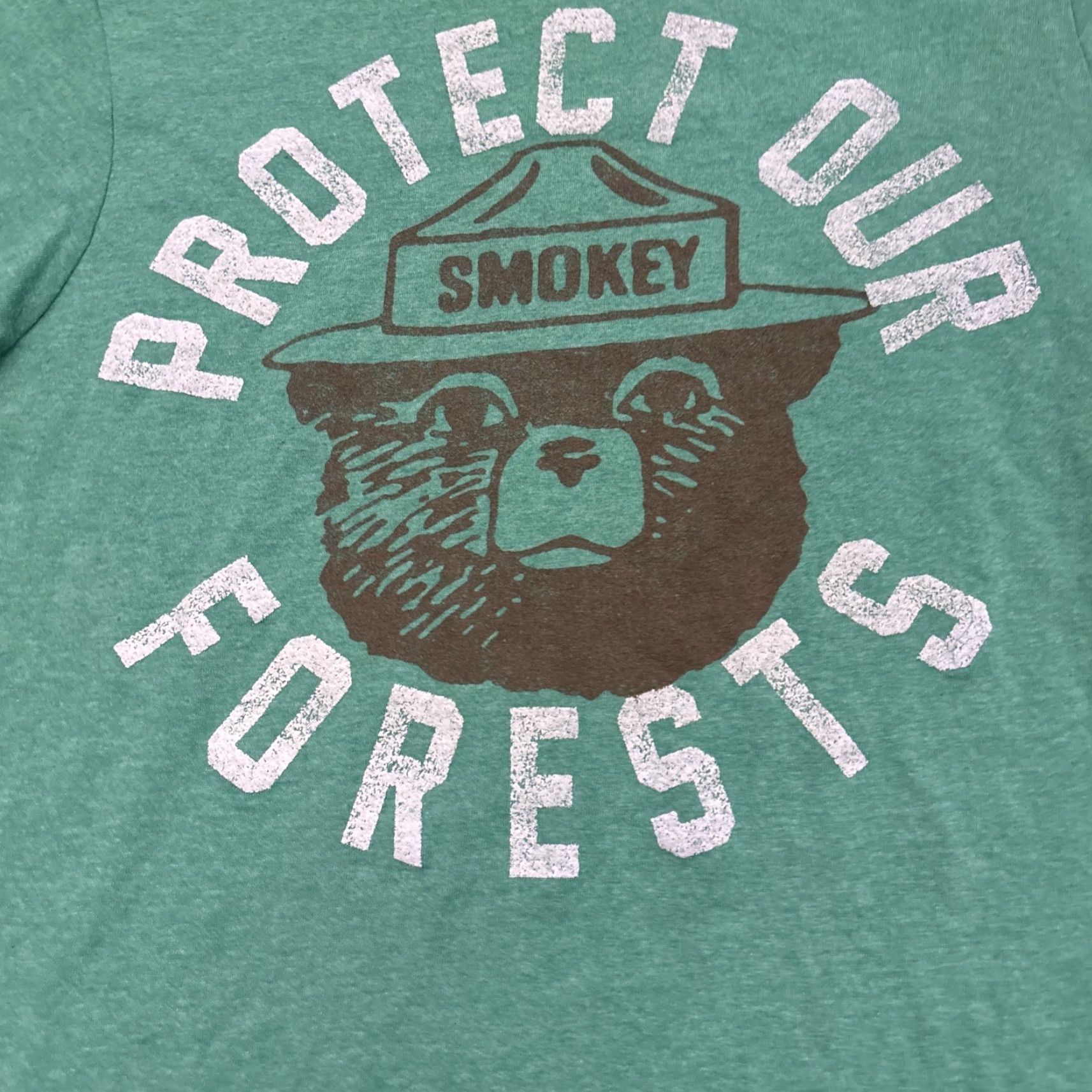 Vintage SMOKEY THE BEAR Shirt Men Green Size S Crew Neck T-Shirt Official Protect Our Forests STB Logo Graphic 90s-2000s Style Size US S / EU 44-46 / 1 - 2 Thumbnail