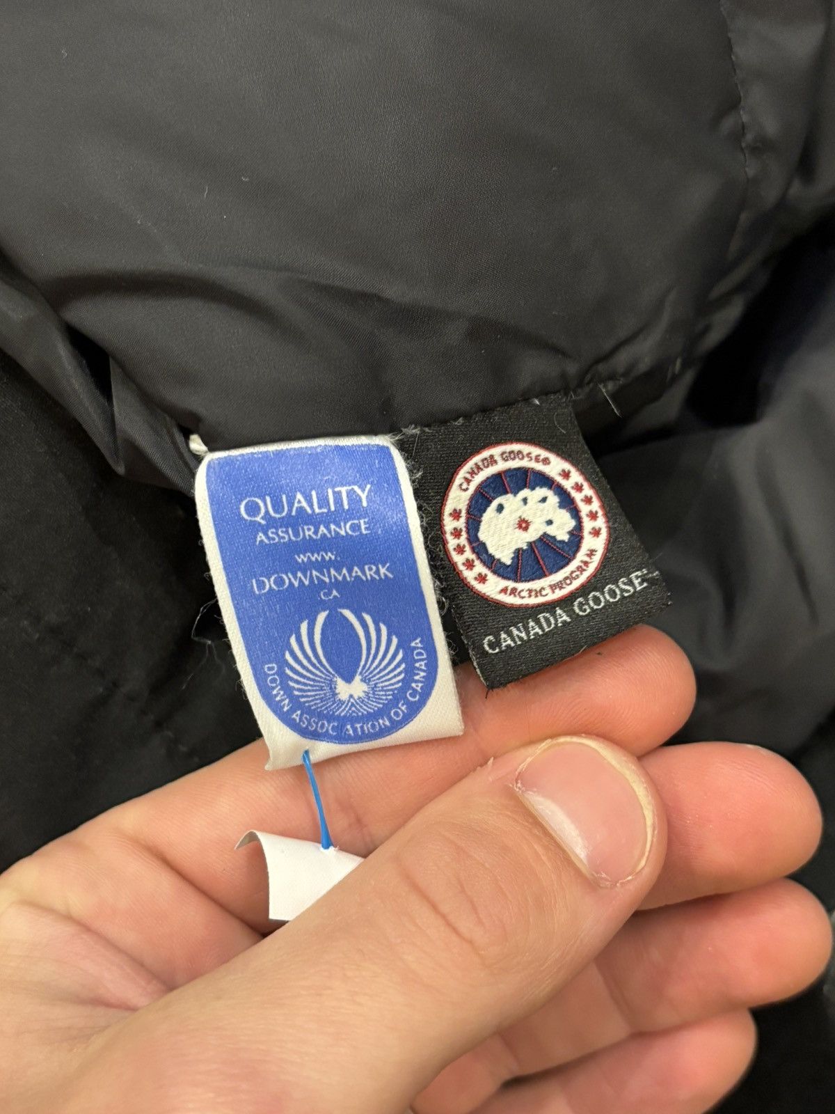 Canada Goose Canada Goode Stanhope Jacket - Black Size US S / EU 44-46 / 1 - 4 Thumbnail