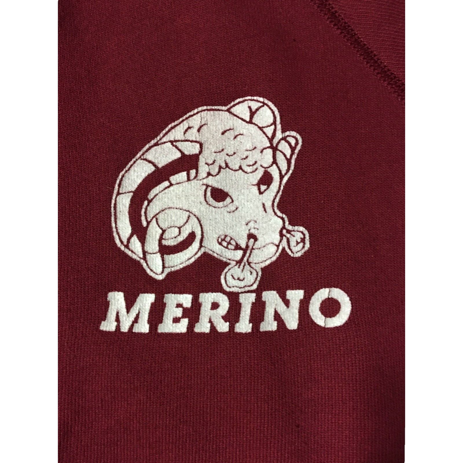 Hanes Vtg 80s Merino School Rams Faded Sweatshirt S USA Track Grunge PE College 90s Size US S / EU 44-46 / 1 - 2 Thumbnail