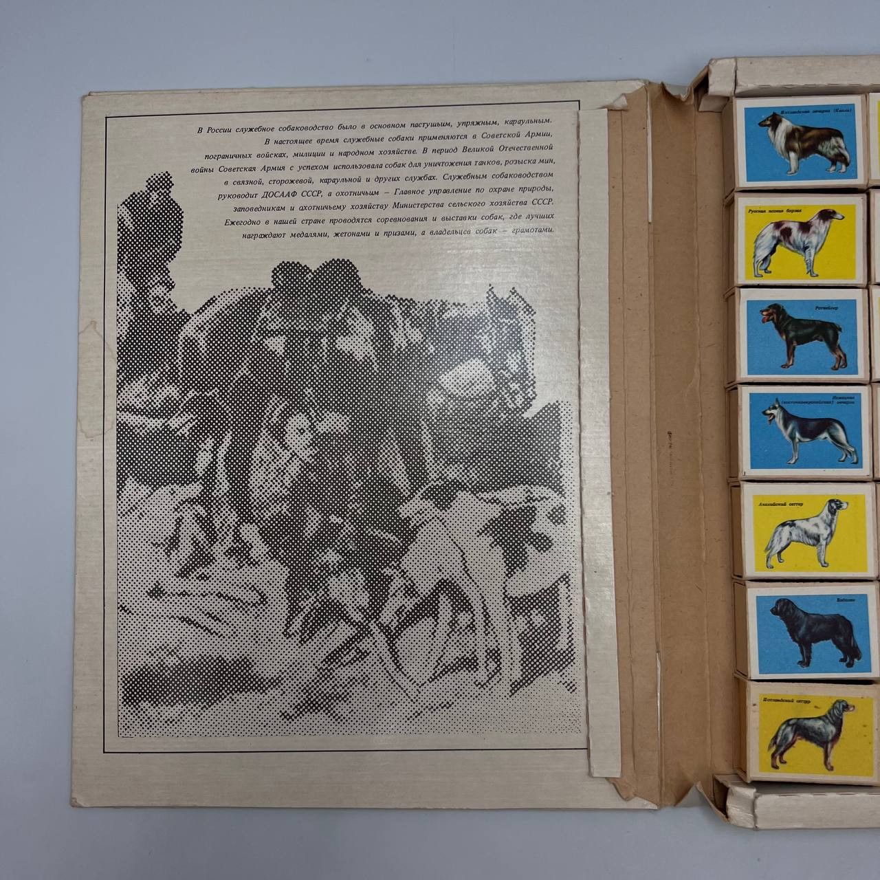 Vintage 1980s Vintage Matchbox Set Matches Dog Breeds Soviet Era Size ONE SIZE - 8 Thumbnail