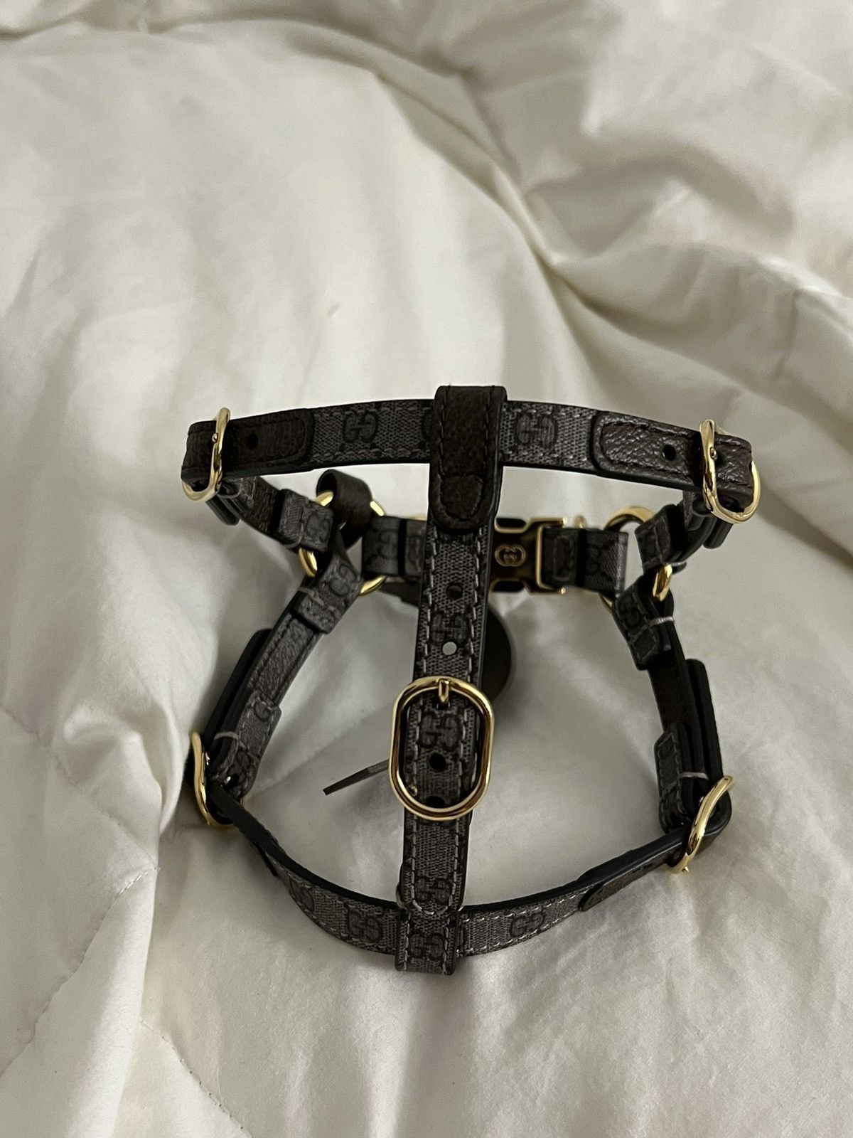 Gucci Extra Small Gucci Dog Collar Size ONE SIZE - 3 Thumbnail