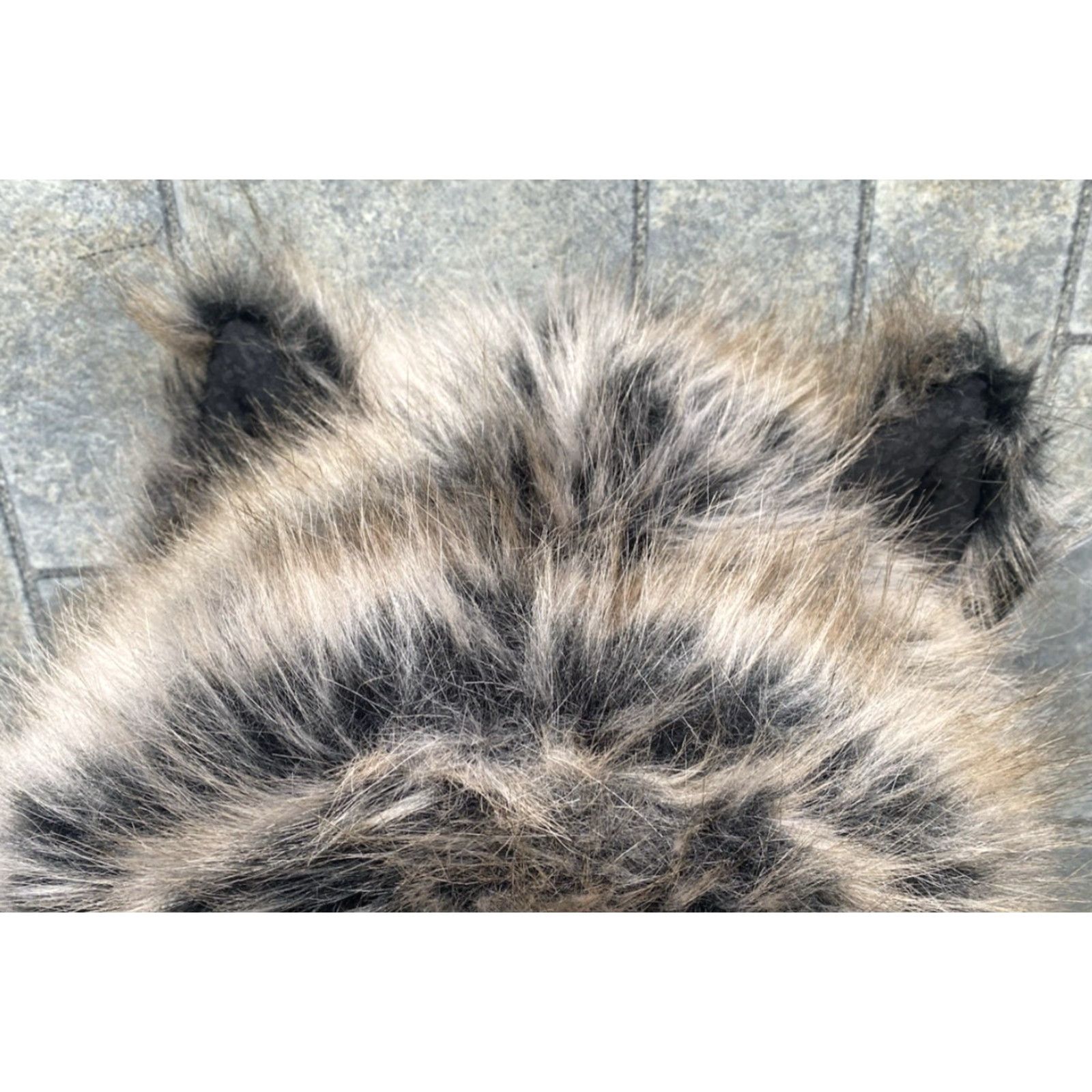 Vintage SpiritHoods Authentic Grey Wolf Classic Faux Fur Coat With Ears Unisex Small Size S / US 4 / IT 40 - 6 Thumbnail