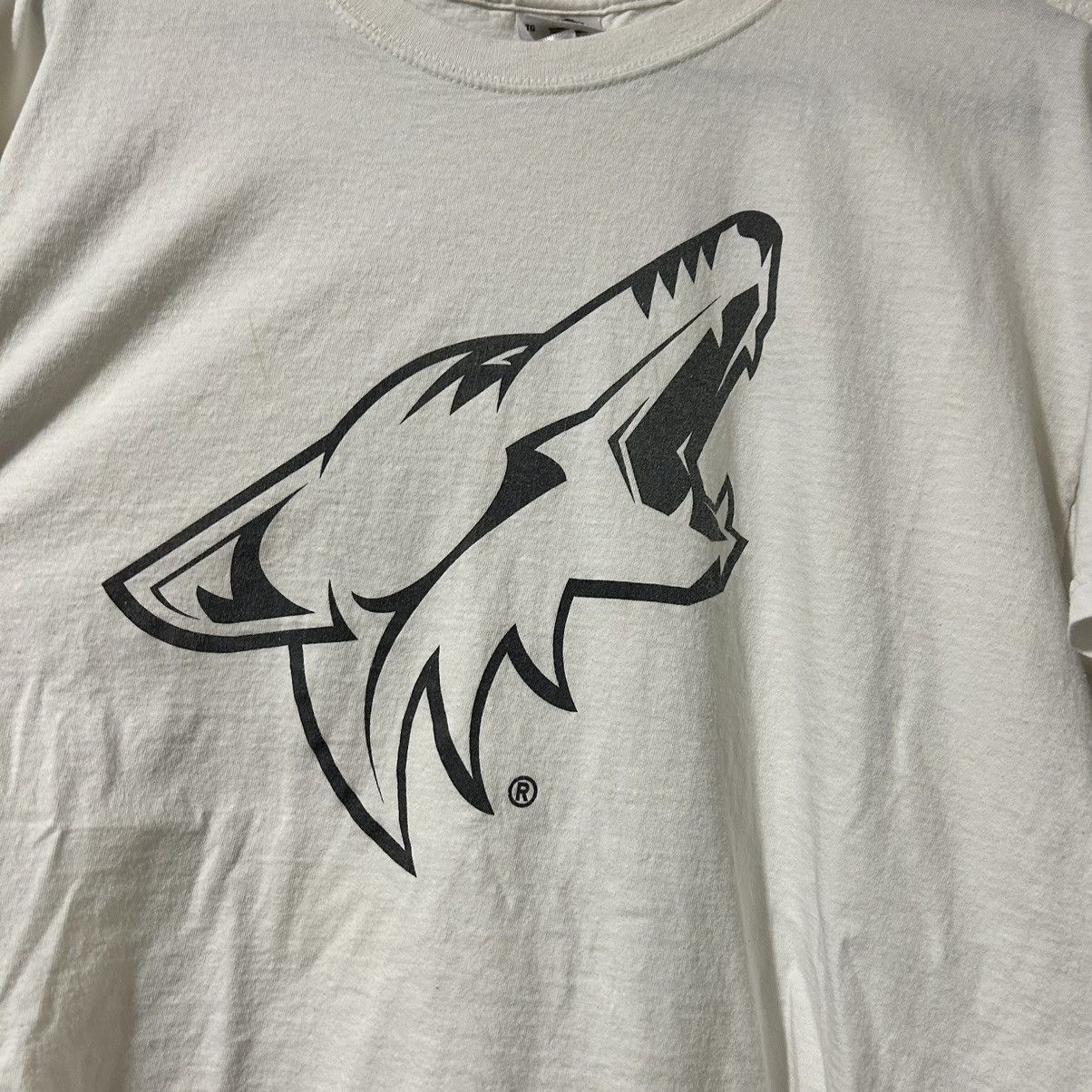 Vintage Vintage Arizona Coyotes Fry’s Fruit Of The Loom T-Shirt XL Size US XL / EU 56 / 4 - 2 Thumbnail