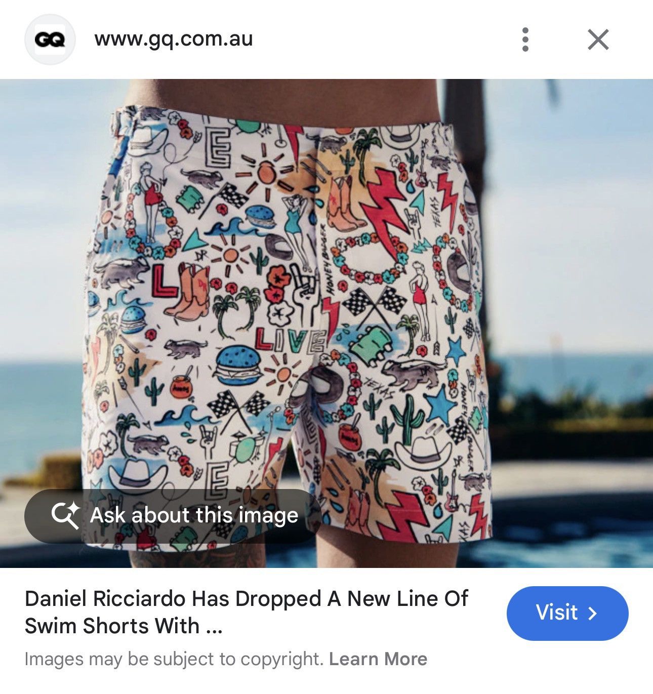 Orlebar Brown Orlebar Brown Ricciardo Bull Dog Auston Texas Swim Shorts 36 Size US 36 / EU 52 - 1 Thumbnail
