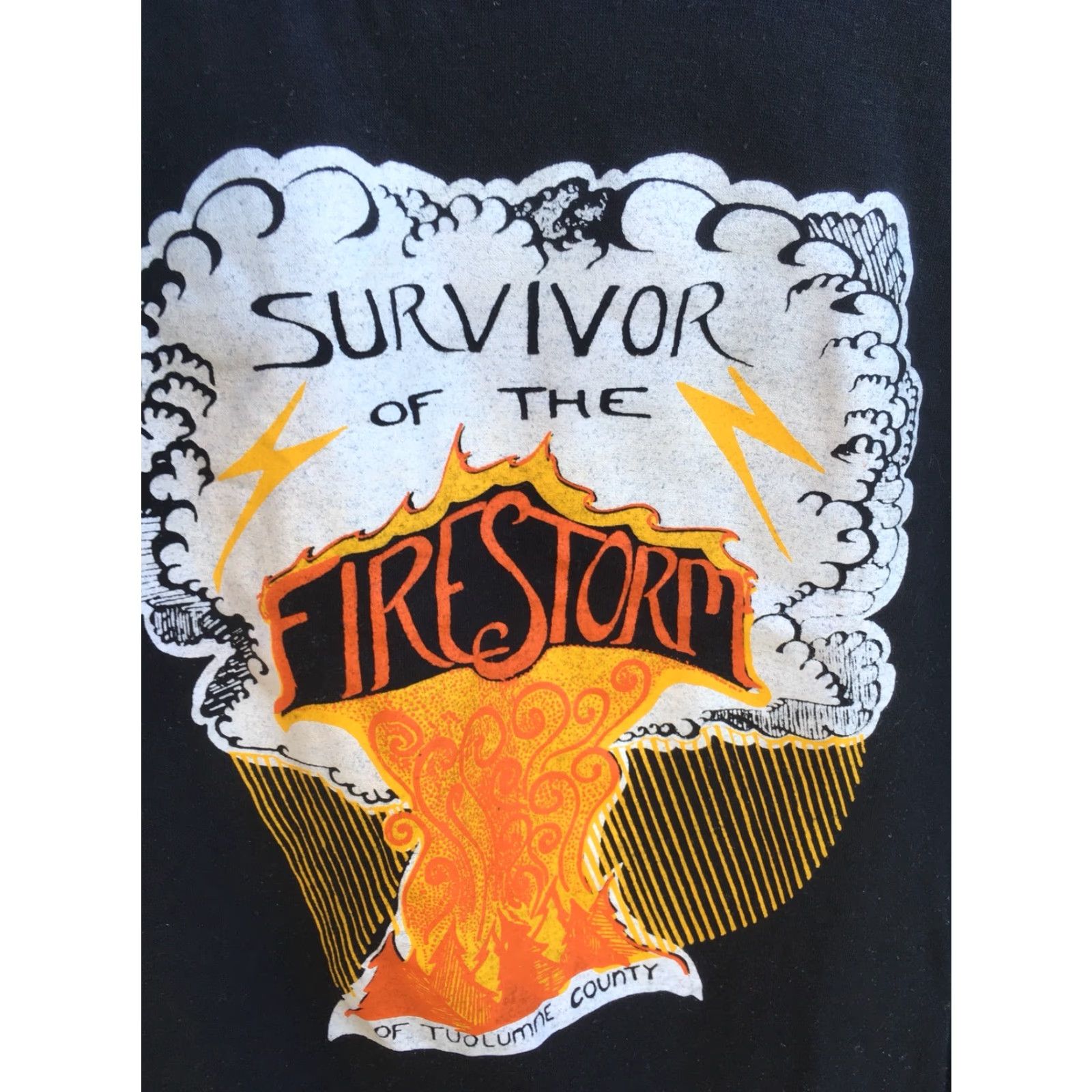 Jerzees VINTAGE Survivor Of The Firestorm Of Tuolumne County T Shirt Jerzees By Russell Size US XL / EU 56 / 4 - 4 Thumbnail