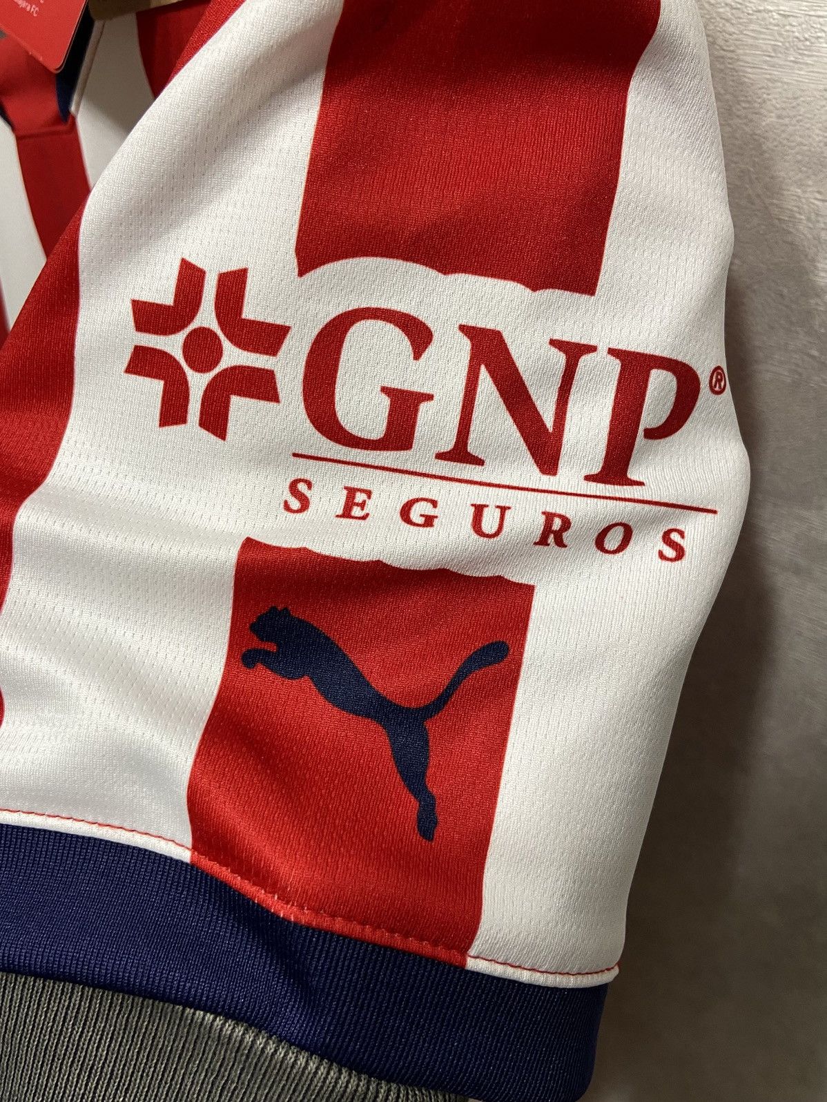 Puma Puma Chivas Guadalajara Home 24-25 Soccer Jersey Size US S / EU 44-46 / 1 - 8 Thumbnail