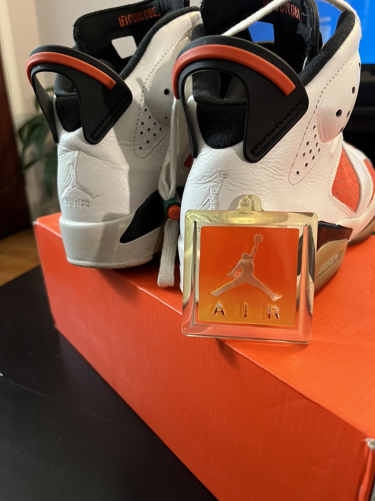 Jordan Brand Air Jordan 6 Retro Gatorade Size US 7.5 / EU 40-41 - 2 Thumbnail