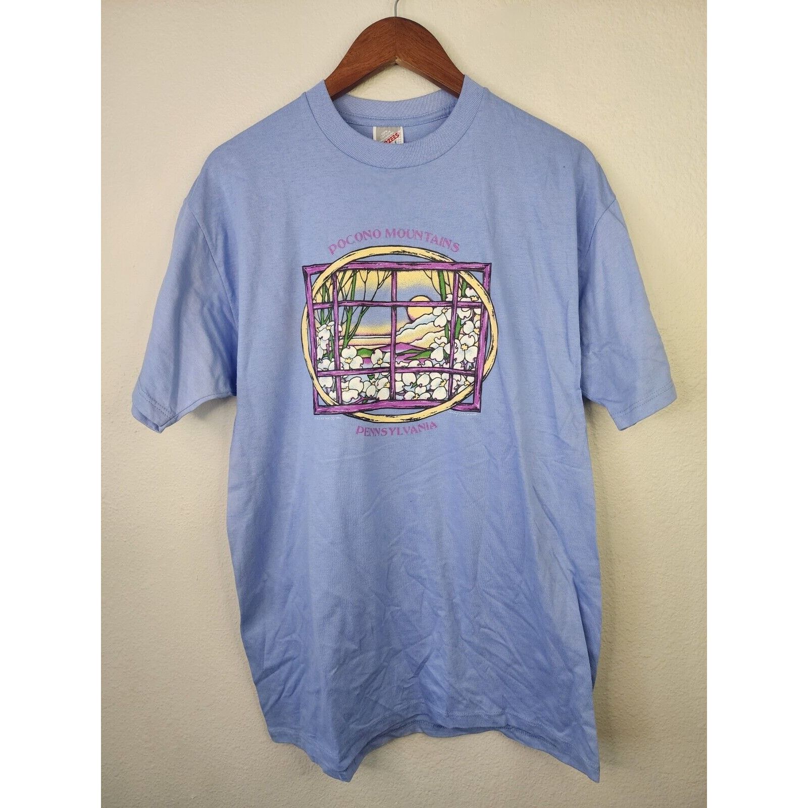 Jerzees Vintage Pocono Mountains Shirt Pennsylvania Blue 1996 Tee L Size US L / EU 52-54 / 3 - 1 Thumbnail