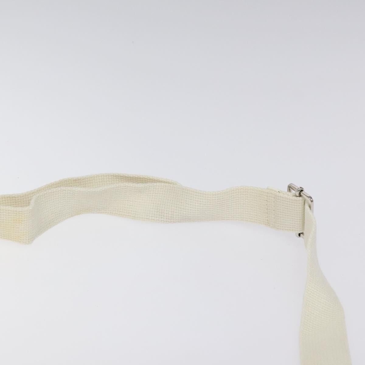 Dior DIOR Trotter Canvas Shoulder Bag White Silver Size ONE SIZE - 14 Thumbnail