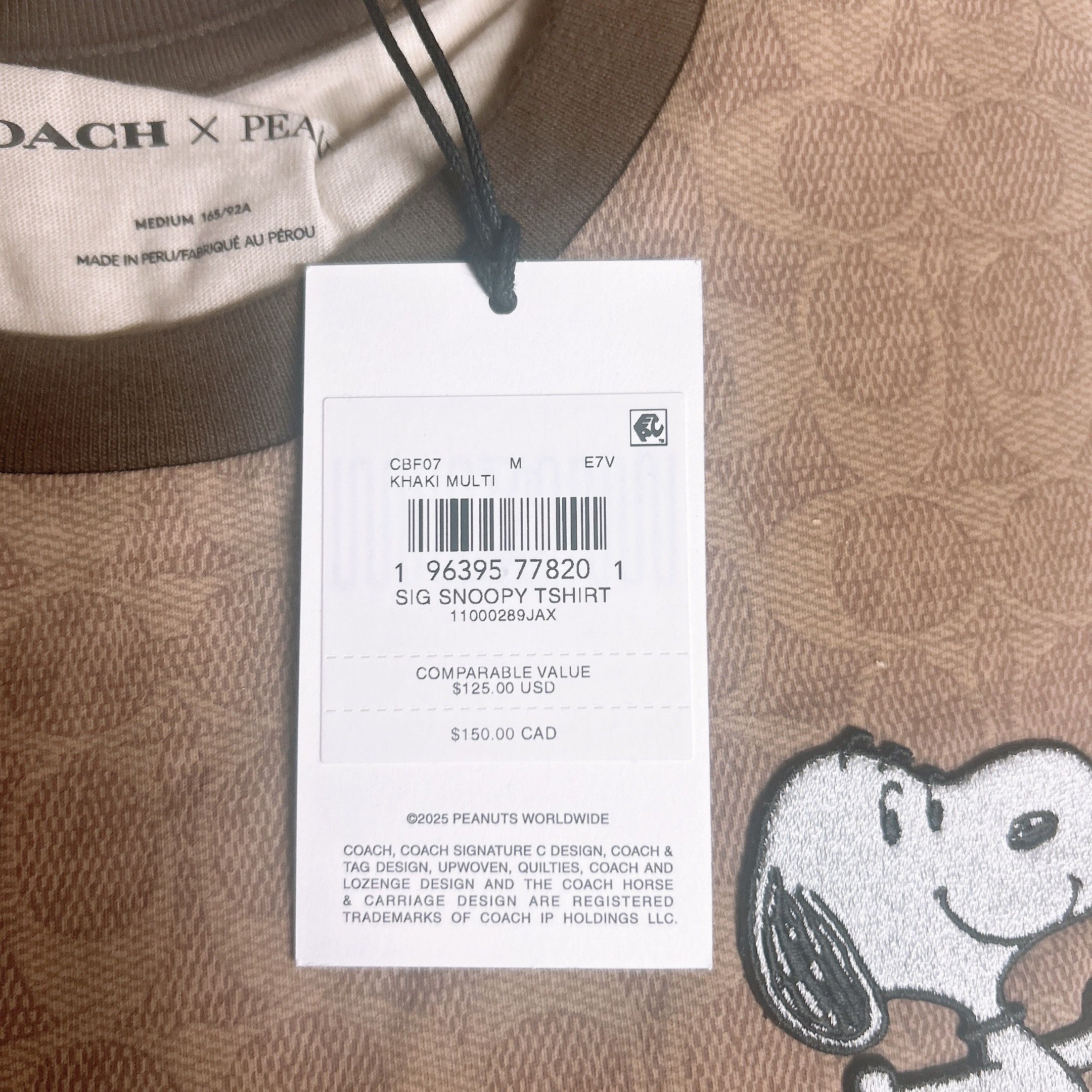 Coach Peanuts Snoopy Signature Classic T-Shirt In Organic Cotton Size M / US 6-8 / IT 42-44 - 6 Thumbnail