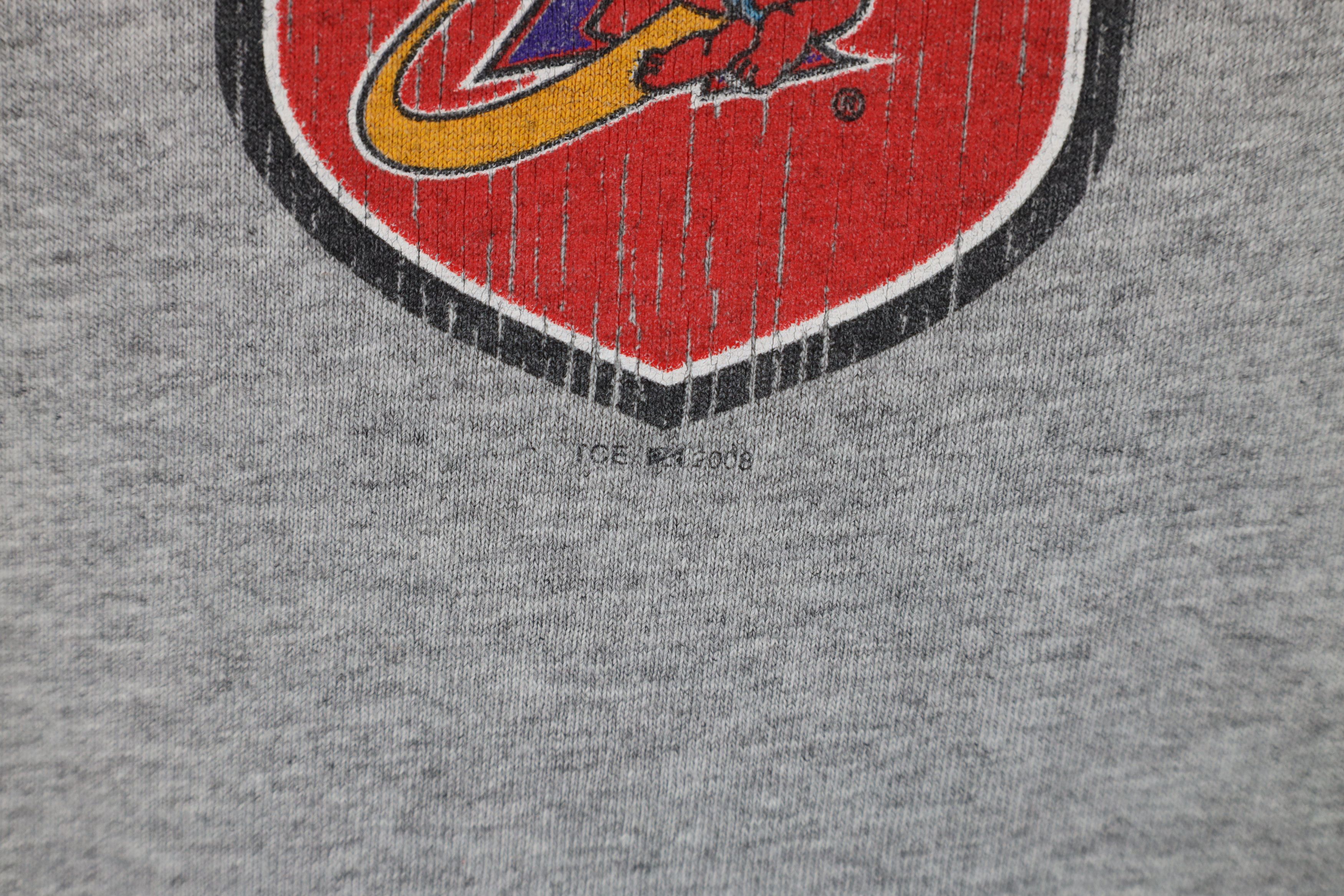 Vintage Vintage Y2K 2008 Minor League Baseball Long Sleeve T-Shirt Size US M / EU 48-50 / 2 - 5 Thumbnail