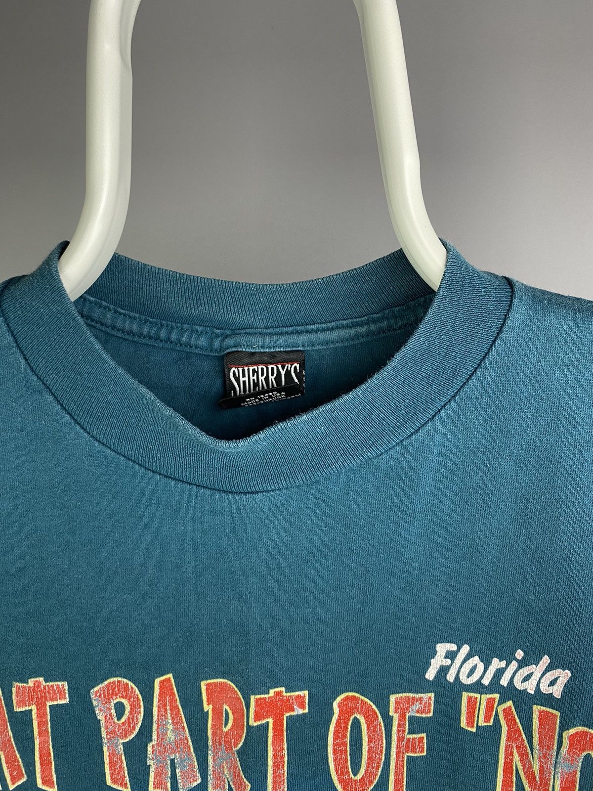 Band Tees × Vintage Vintage 90s Looney Tunes Taz “What Part of No” Florida Tee Size US L / EU 52-54 / 3 - 6 Thumbnail