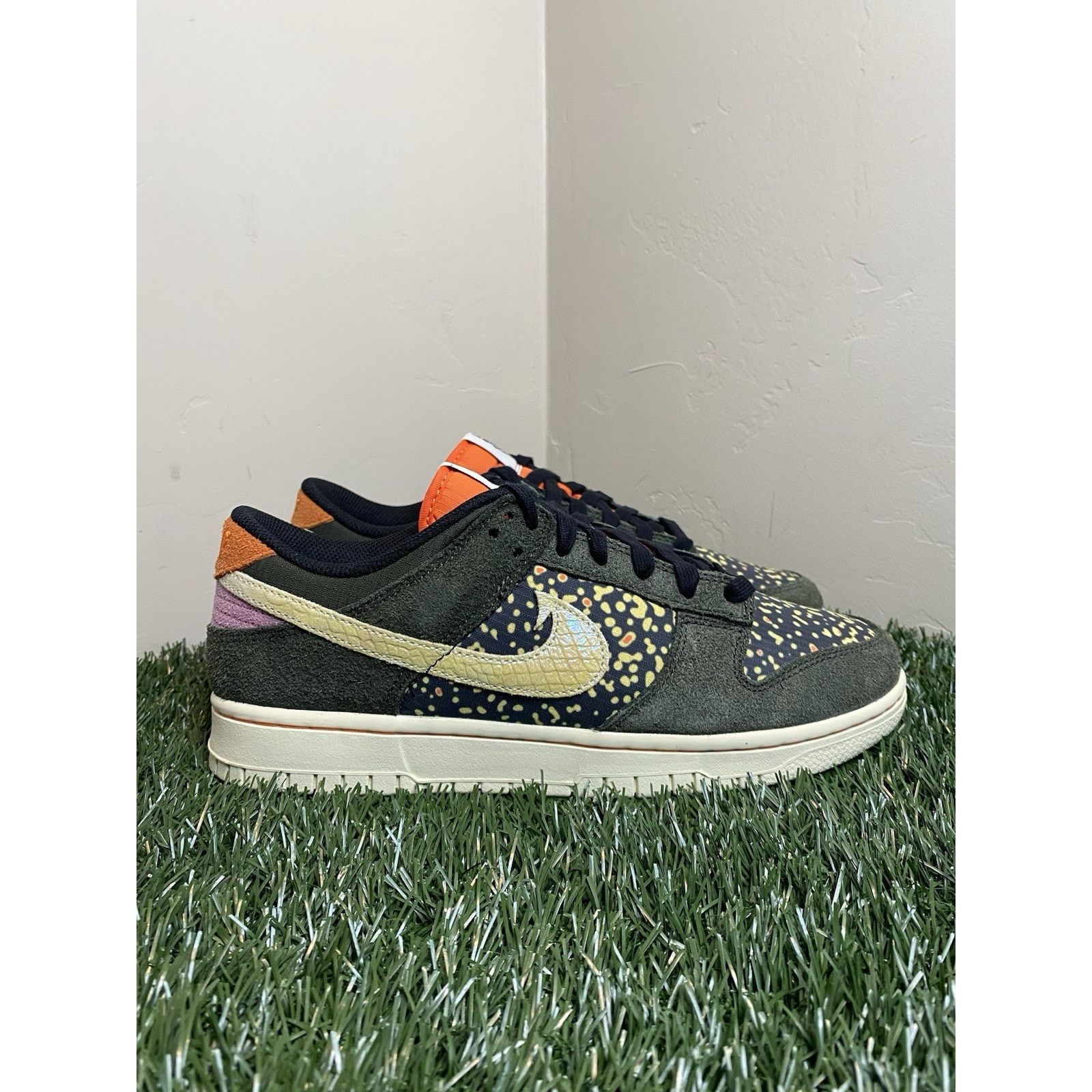 Nike Nike Dunk SE “Gone Fishing Rainbow Trout” Size 9 US | NEW Size US 9 / EU 42 - 1 Thumbnail