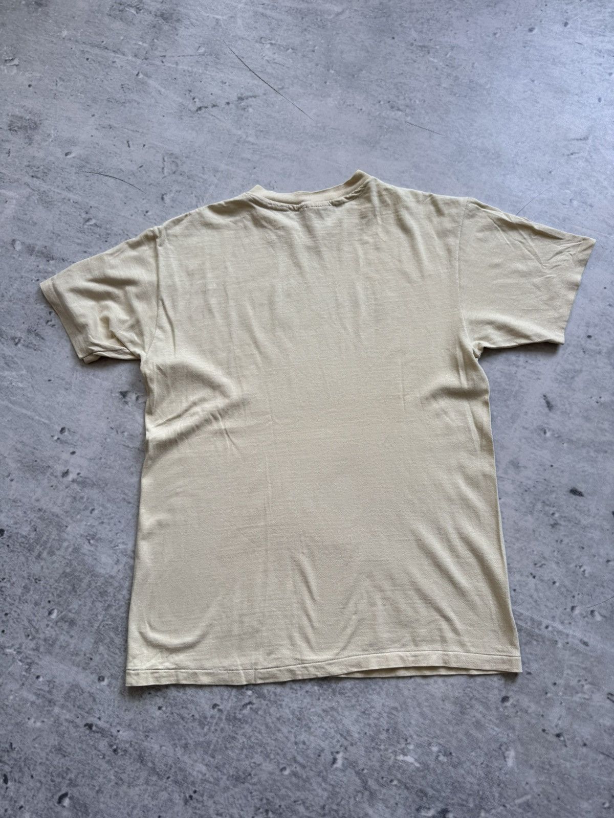 Hanes × Other × Vintage Hanes vintage 90s tee beauty nature art Size US L / EU 52-54 / 3 - 2 Thumbnail
