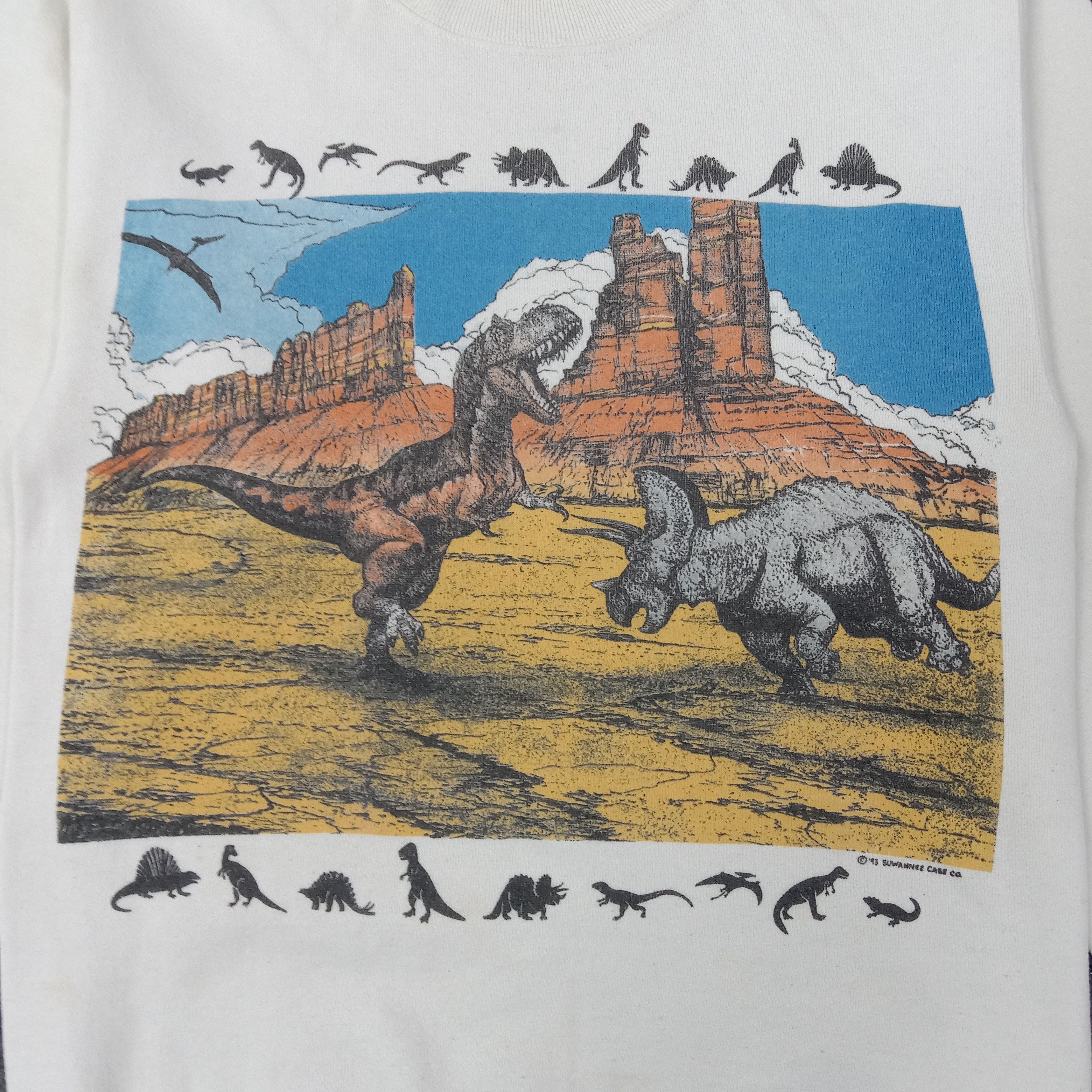 Vintage 90s Suwannee case CQ Art Dinosaur Sweatshirt C262N1 Size US XS / EU 42 / 0 - 2 Thumbnail