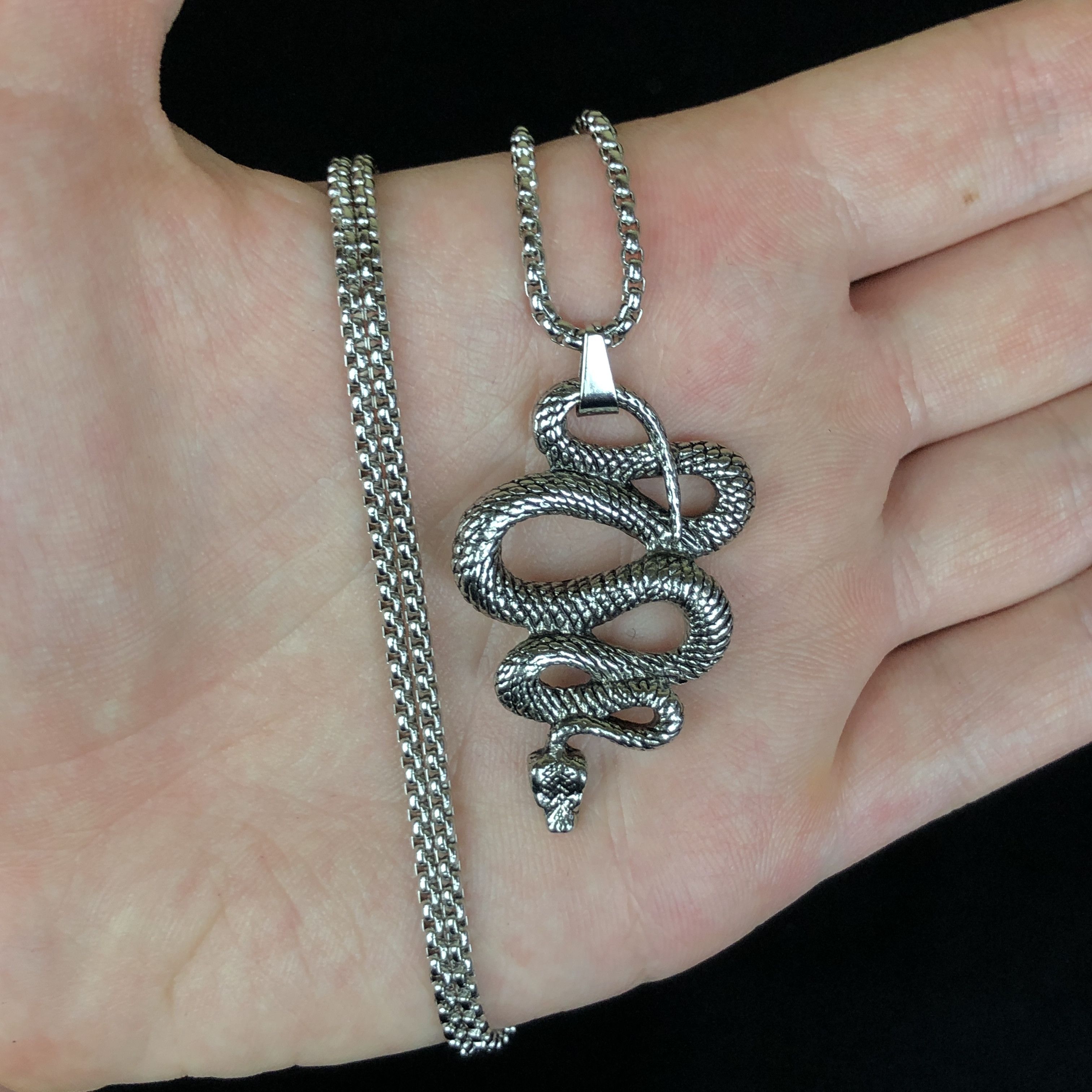 Jewelry Snake Pendant Punk Necklace Chain in Silver, Men's
