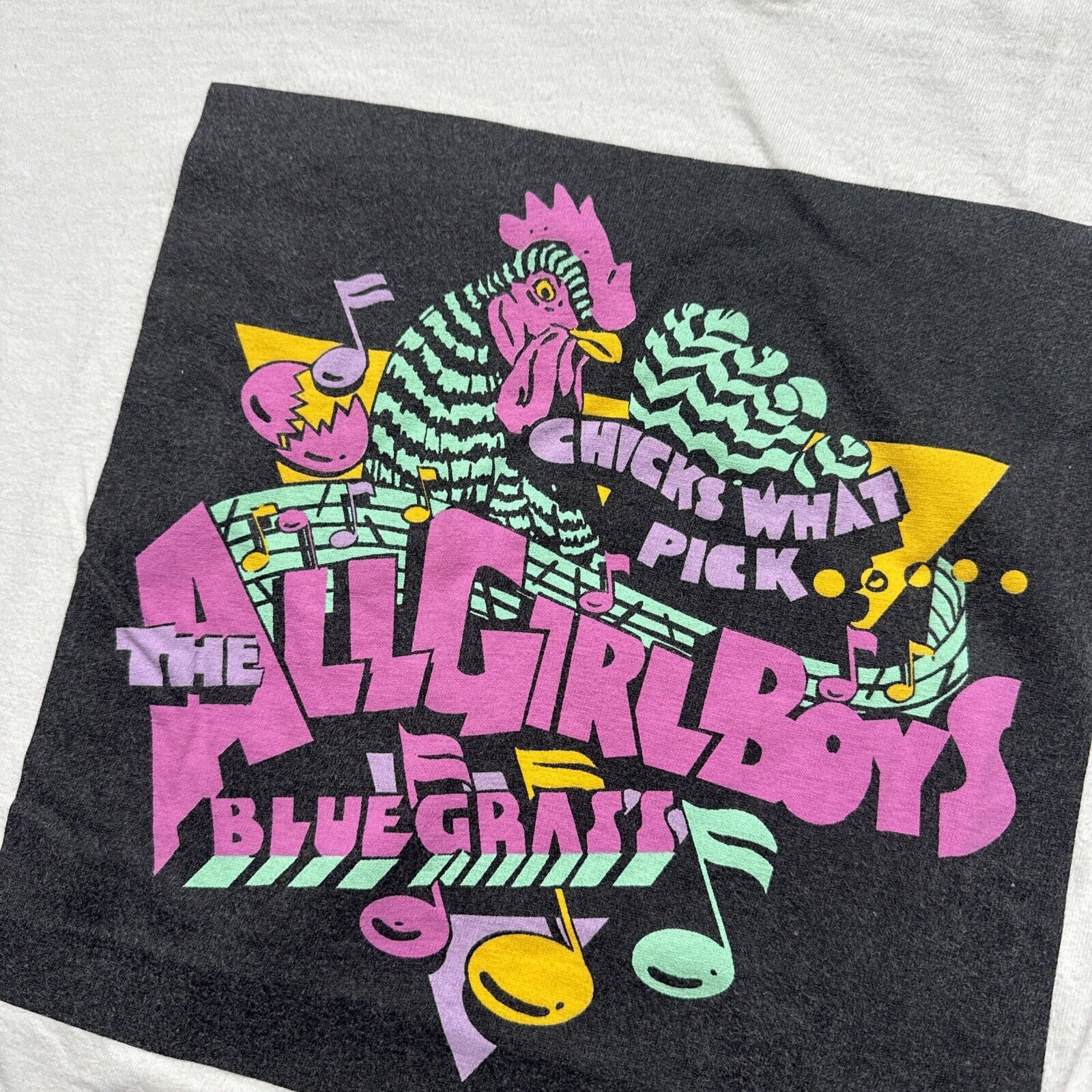 Band Tees × Hanes × Vintage Vintage The All Girl Boys Bluegrass Chicks Band Shirt L 90s Size US L / EU 52-54 / 3 - 3 Thumbnail