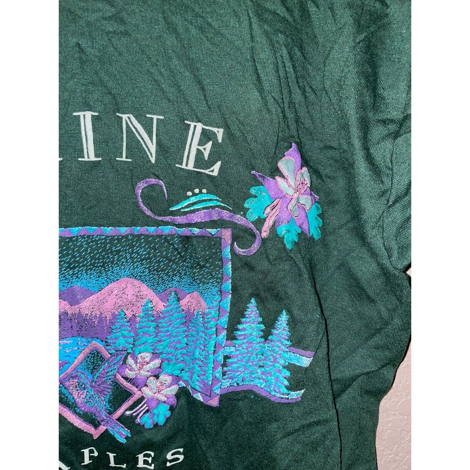 Jerzees Vintage Test Print Shirt Mount Rushmore Maine Naples Tee 90s Size US L / EU 52-54 / 3 - 12 Thumbnail