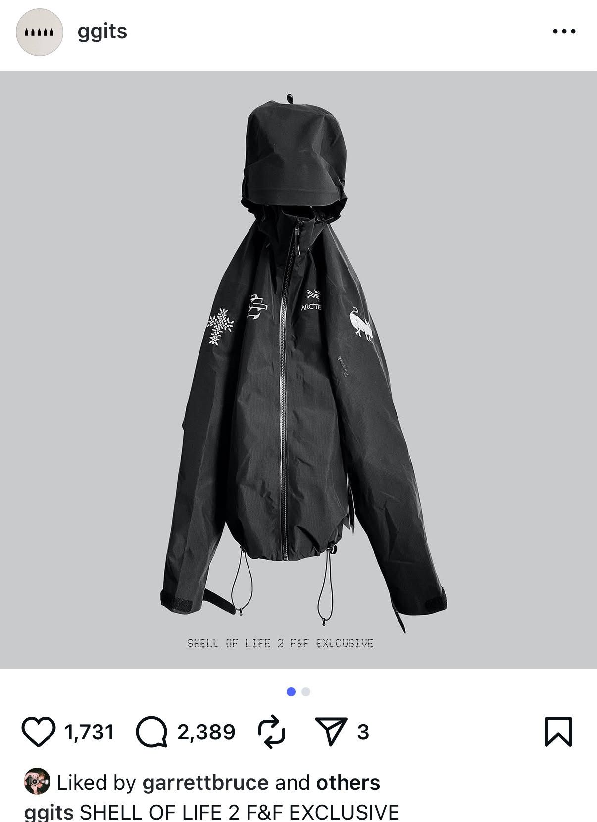 Arc'teryx GGITS x Arc’teryx Beta AR ‘Shell of Life’ Jacket Size US L / EU 52-54 / 3 - 2 Thumbnail