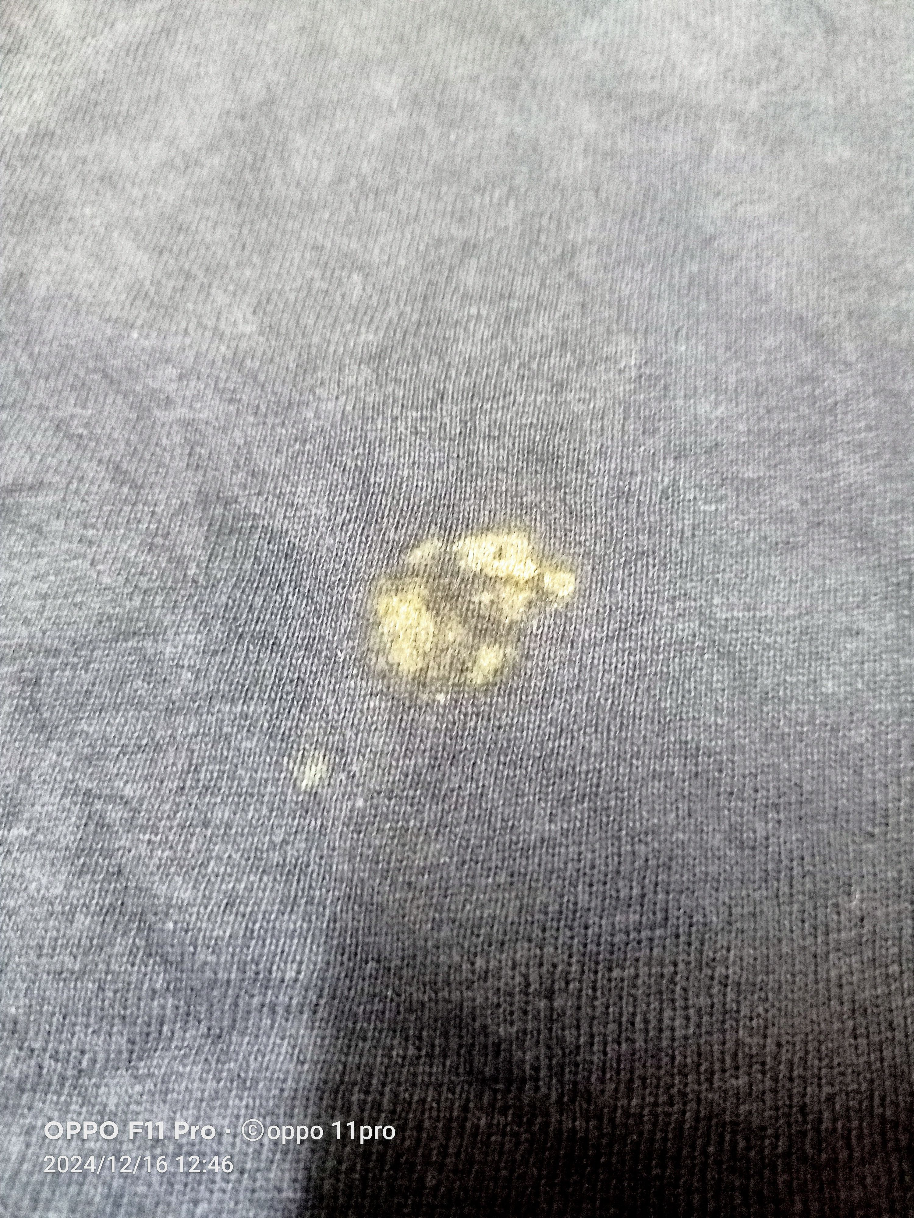 Champion Sweatshirt Vintage Spellout