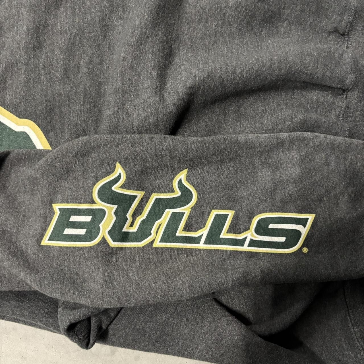 Champion Crazy Vintage Y2K/2000s University of south florida bulls Champion Collegiate Hoodie! Size US M / EU 48-50 / 2 - 5 Thumbnail