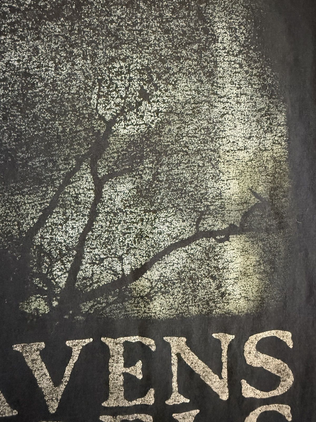 Vintage Cradle of Filth Sedusa of Raven T-Shirt Size US L / EU 52-54 / 3 - 11 Thumbnail