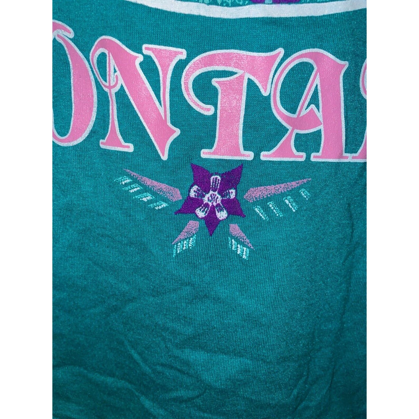 Jerzees 1980s Vintage Jerzees Montana Wildflower Teal Shirt 80s M Size US M / EU 48-50 / 2 - 6 Thumbnail