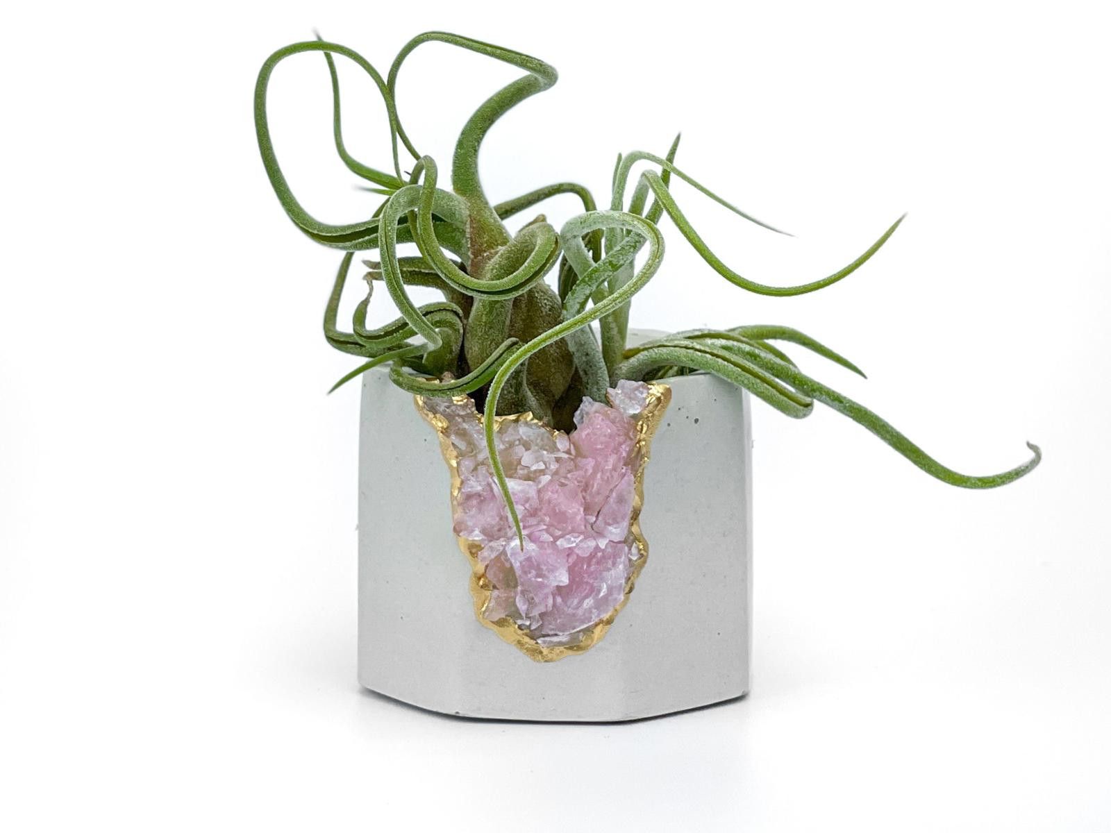 Other Rose Quartz Crystal Planter Concrete Geode Air Plant Holder Size ONE SIZE - 7 Thumbnail