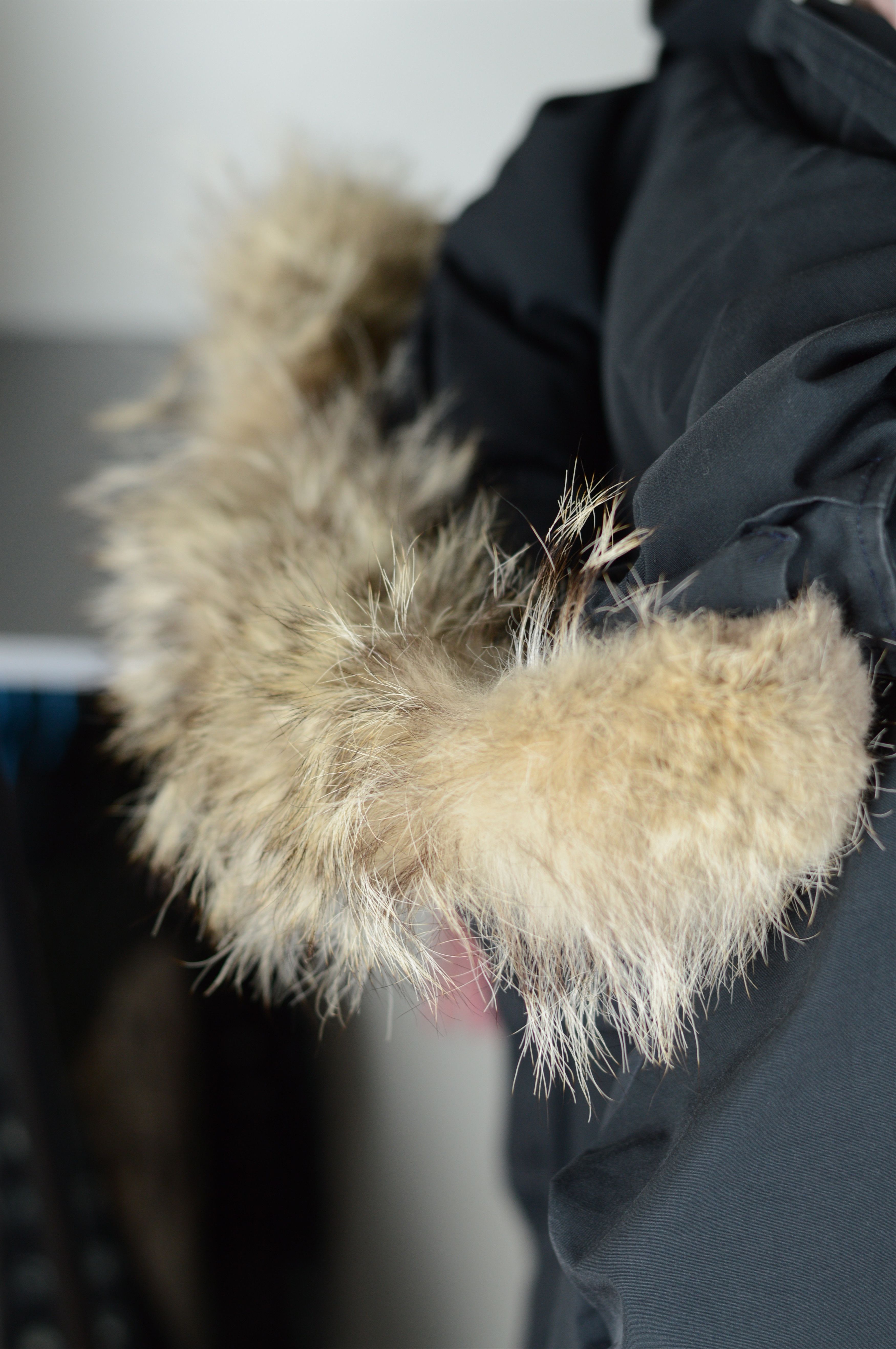 Canada Goose Canada Goose Down Parka 6550L Size S / US 4 / IT 40 - 18 Thumbnail