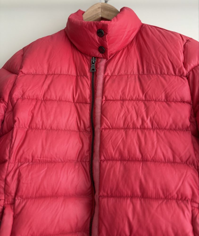 Prada Prada Vitnage Puffer Down Jacket Size M / US 6-8 / IT 42-44 - 3 Thumbnail