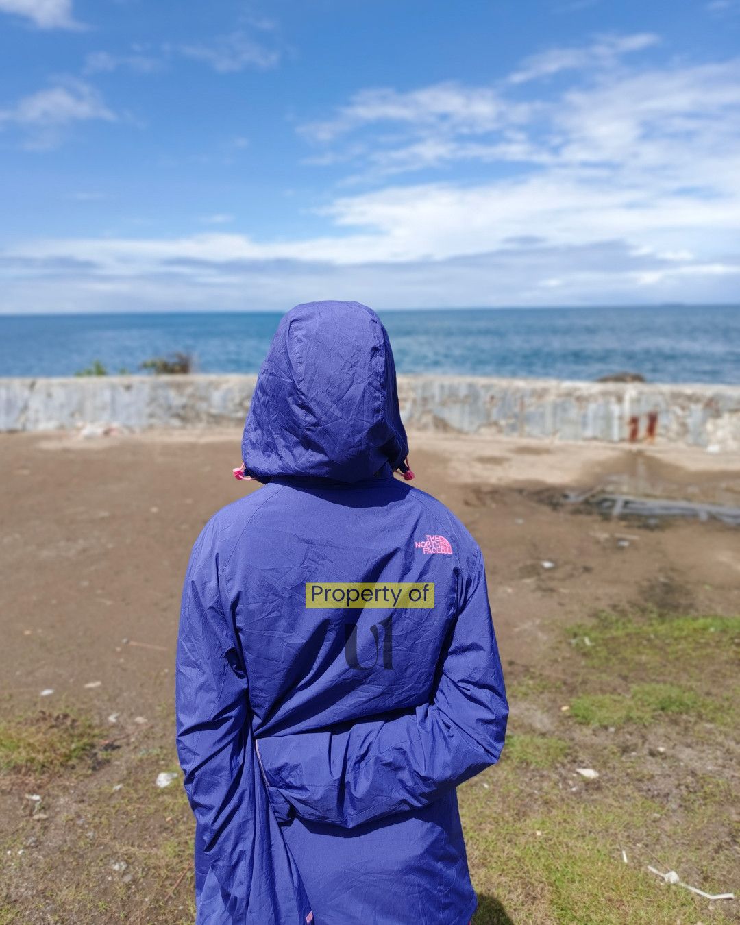 The North Face The North Face Outdoor Jacket Size M / US 6-8 / IT 42-44 - 3 Thumbnail