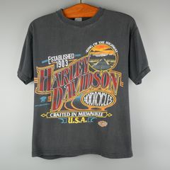 RESTORED by TILLYS Mens Vintage Graphic Tee