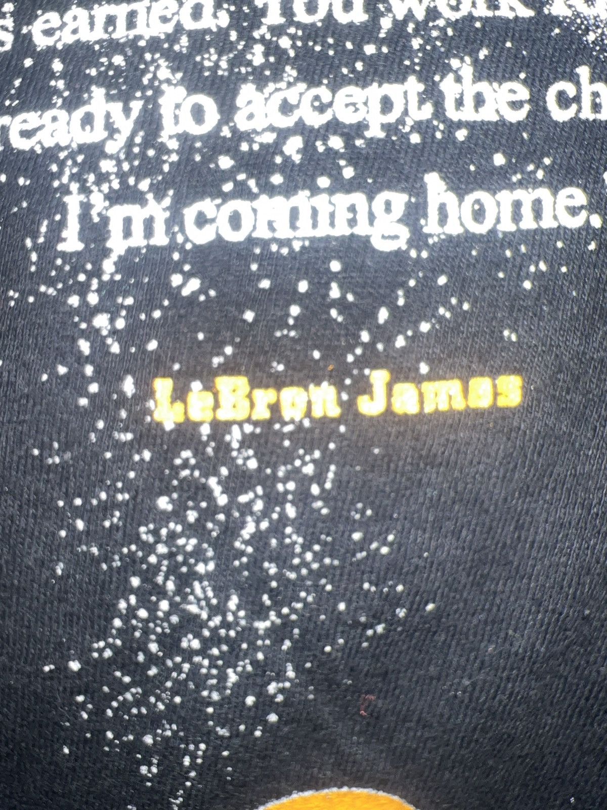 Gildan Gildan Softstyle LeBron James Home Tee Size US XL / EU 56 / 4 - 9 Thumbnail