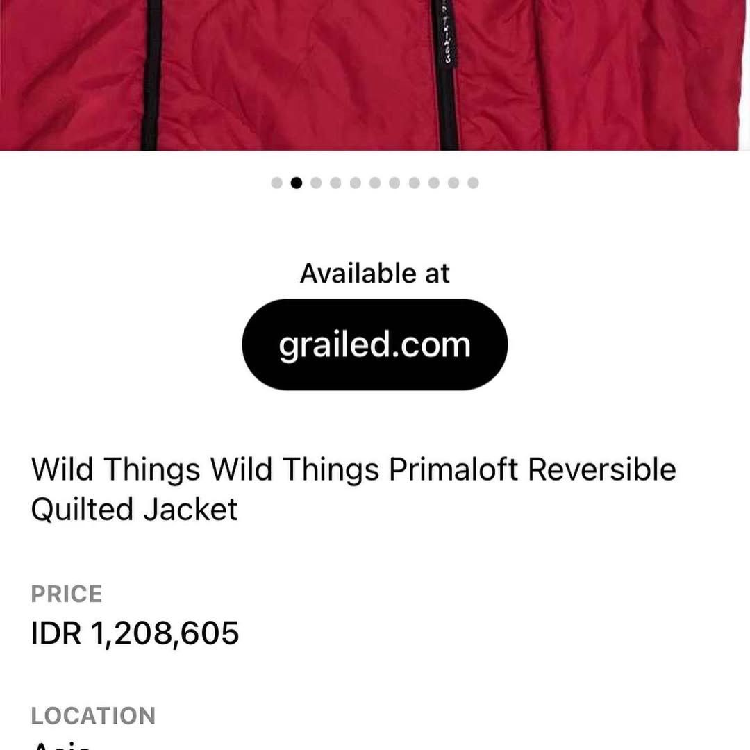 Vintage × Wild Things Wild Things Puffer outdown jacket Reversible down Primaloft Size US L / EU 52-54 / 3 - 8 Thumbnail