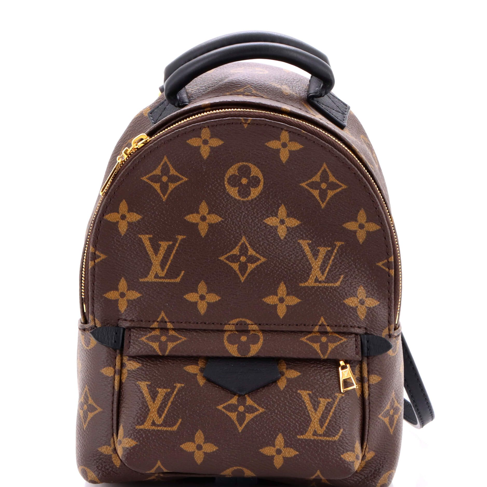 Louis Vuitton Palm Springs Backpack Size ONE SIZE - 1 Thumbnail