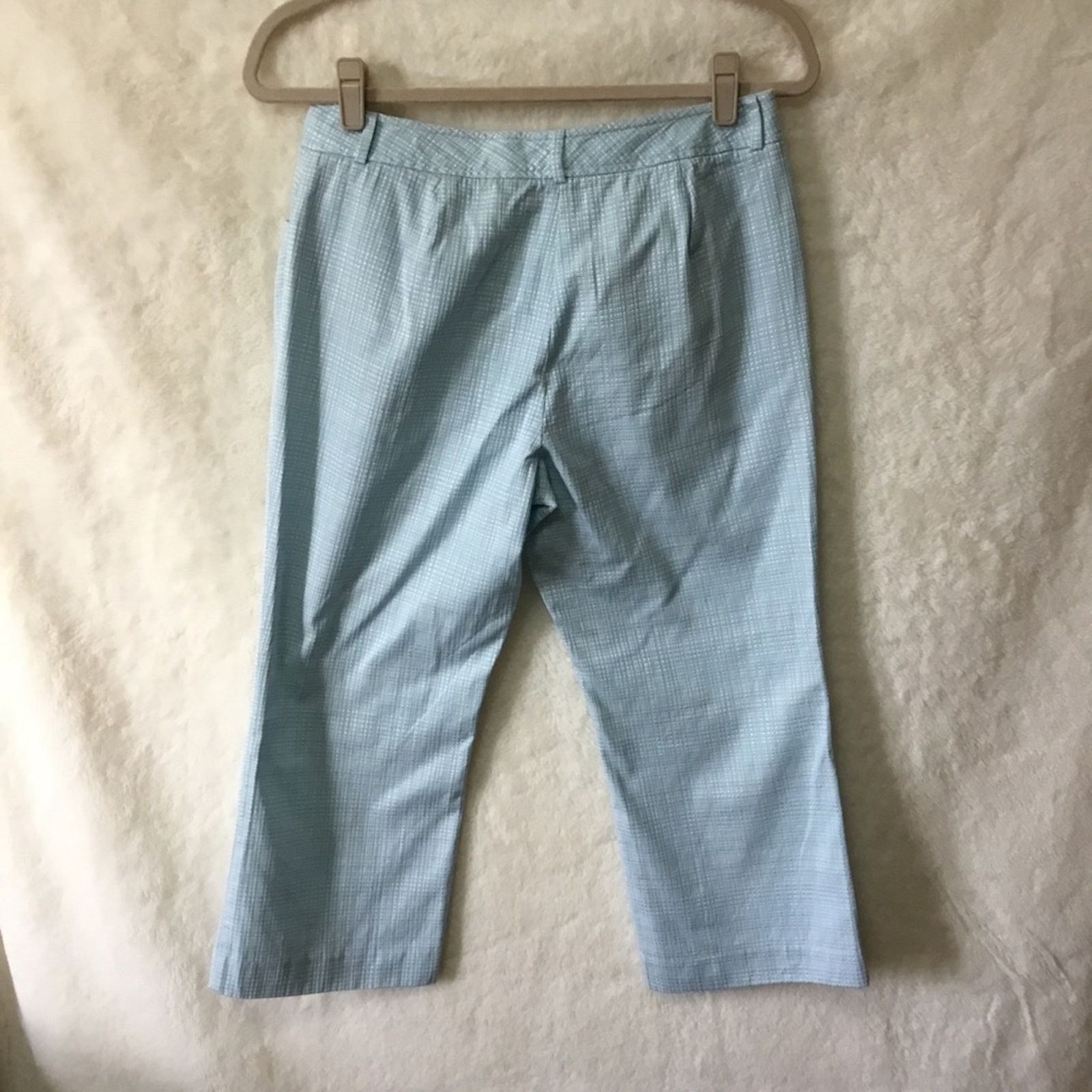 Ann Taylor Ann Taylor Blue Pattern Crop Pants Size 28" / US 6 / IT 42 - 9 Thumbnail