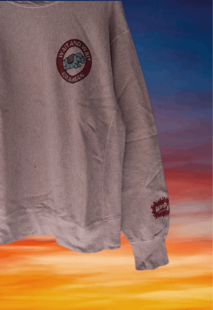 Band Tees × Japanese Brand × Vintage Vintage 90s reverse weave Brahman wait and wait promo album Size US L / EU 52-54 / 3 - 3 Thumbnail
