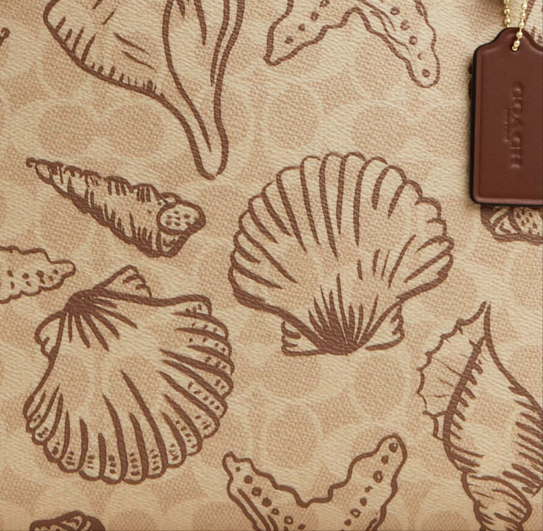 Coach Mollie Tote Bag In Signature Canvas With Shell Print CBH64 Size ONE SIZE - 14 Thumbnail