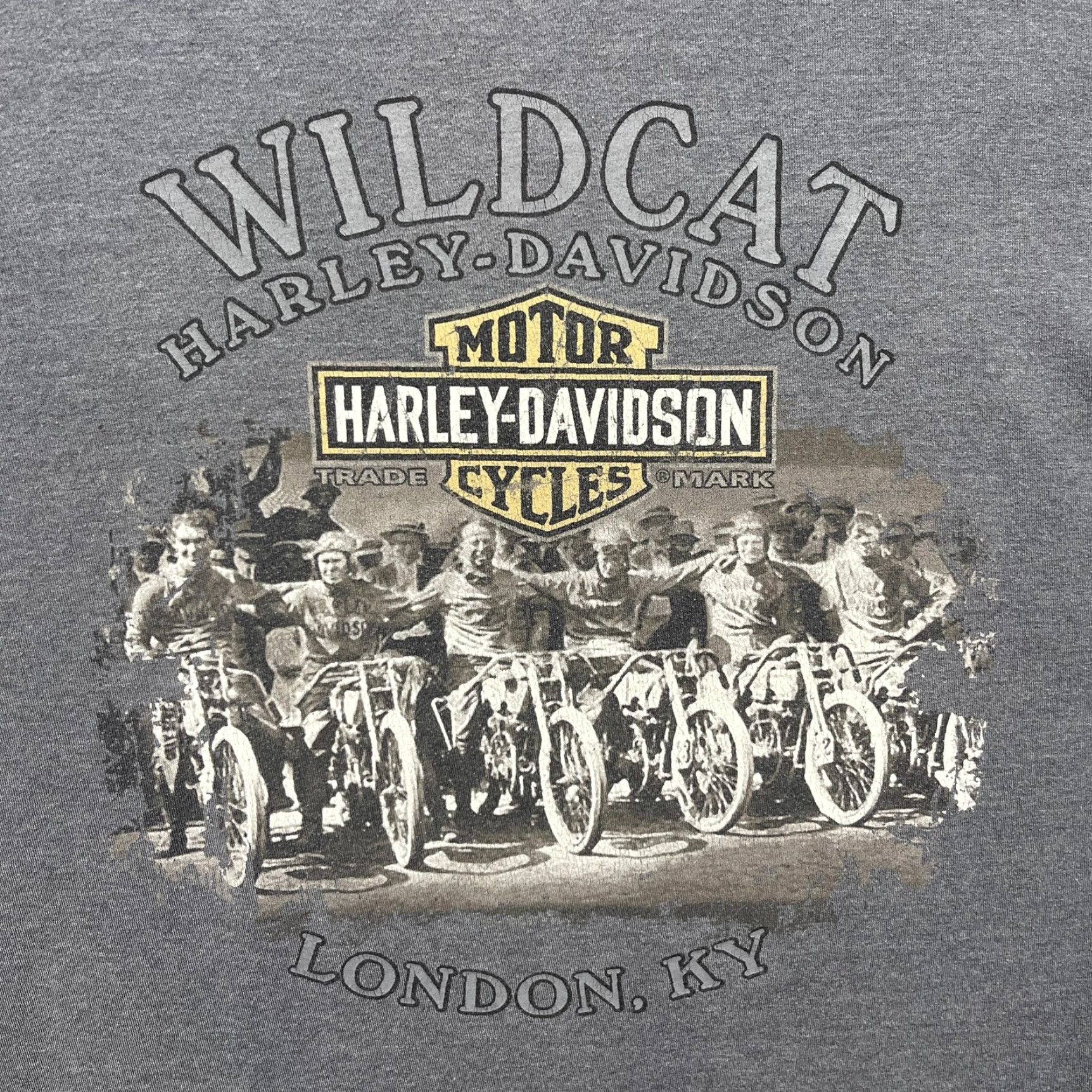 Harley Davidson Harley-Davidson Shirt Mens Large Gray Wildcat London KY Eagle Biker Graphic Size US L / EU 52-54 / 3 - 2 Thumbnail