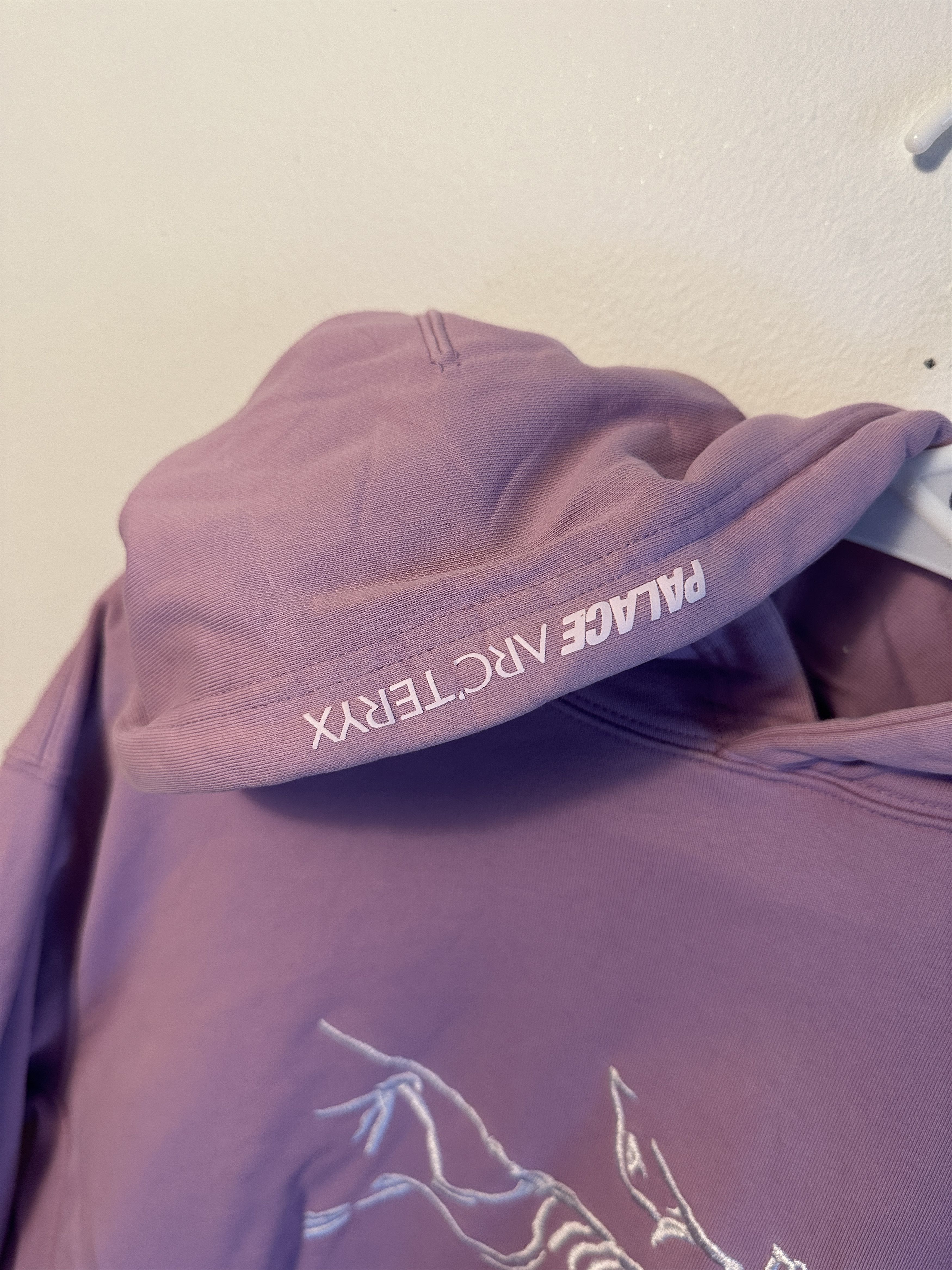 Arc'teryx × Palace Arc'Teryx x Palace Hoodie Size US L / EU 52-54 / 3 - 3 Thumbnail