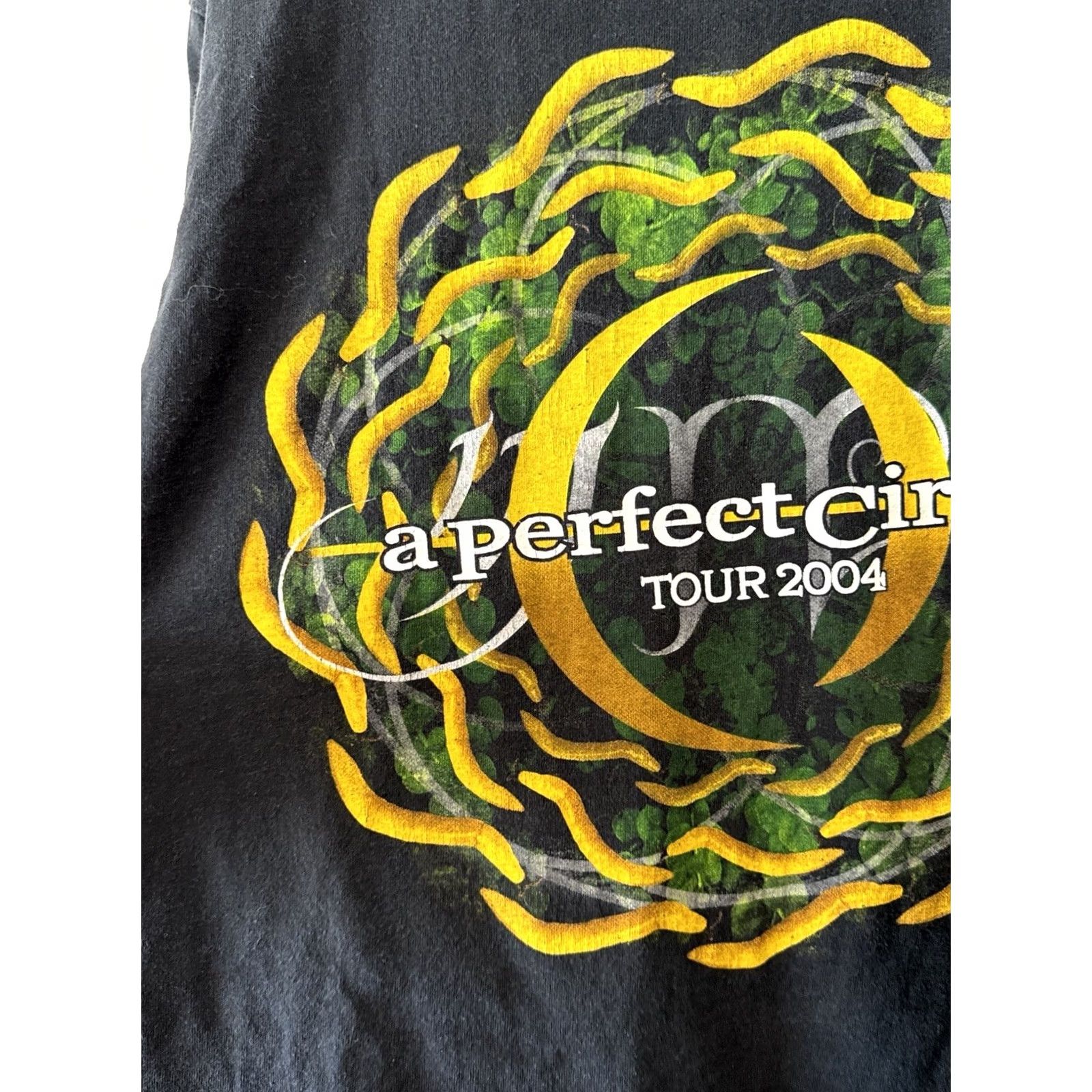 Delta VINTAGE A Perfect Circle 2004 Tour Shirt Delta Pro Weight Size L Black Cotton Short Sleeve Crew Neck Men Rock Band Size US L / EU 52-54 / 3 - 2 Thumbnail