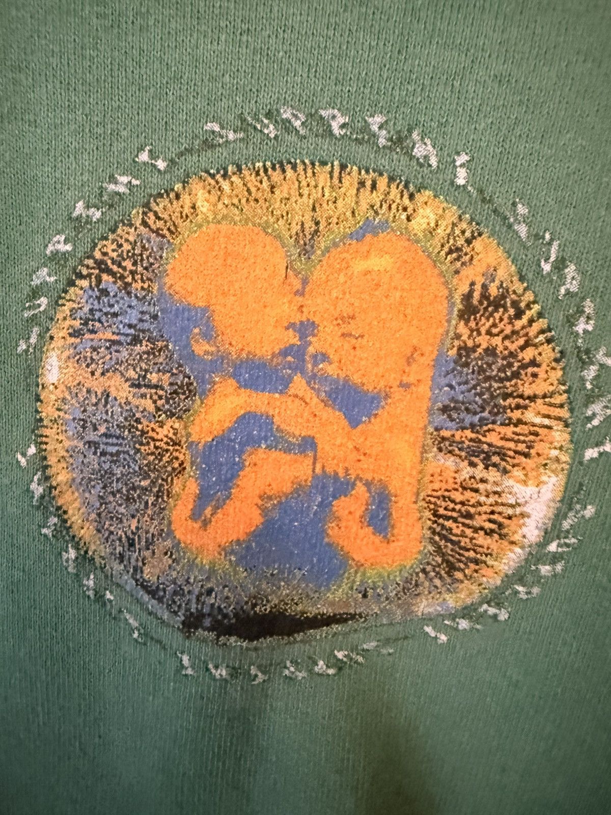 Supreme Vintage Supreme Embryo Hoodie Size US M / EU 48-50 / 2 - 5 Thumbnail