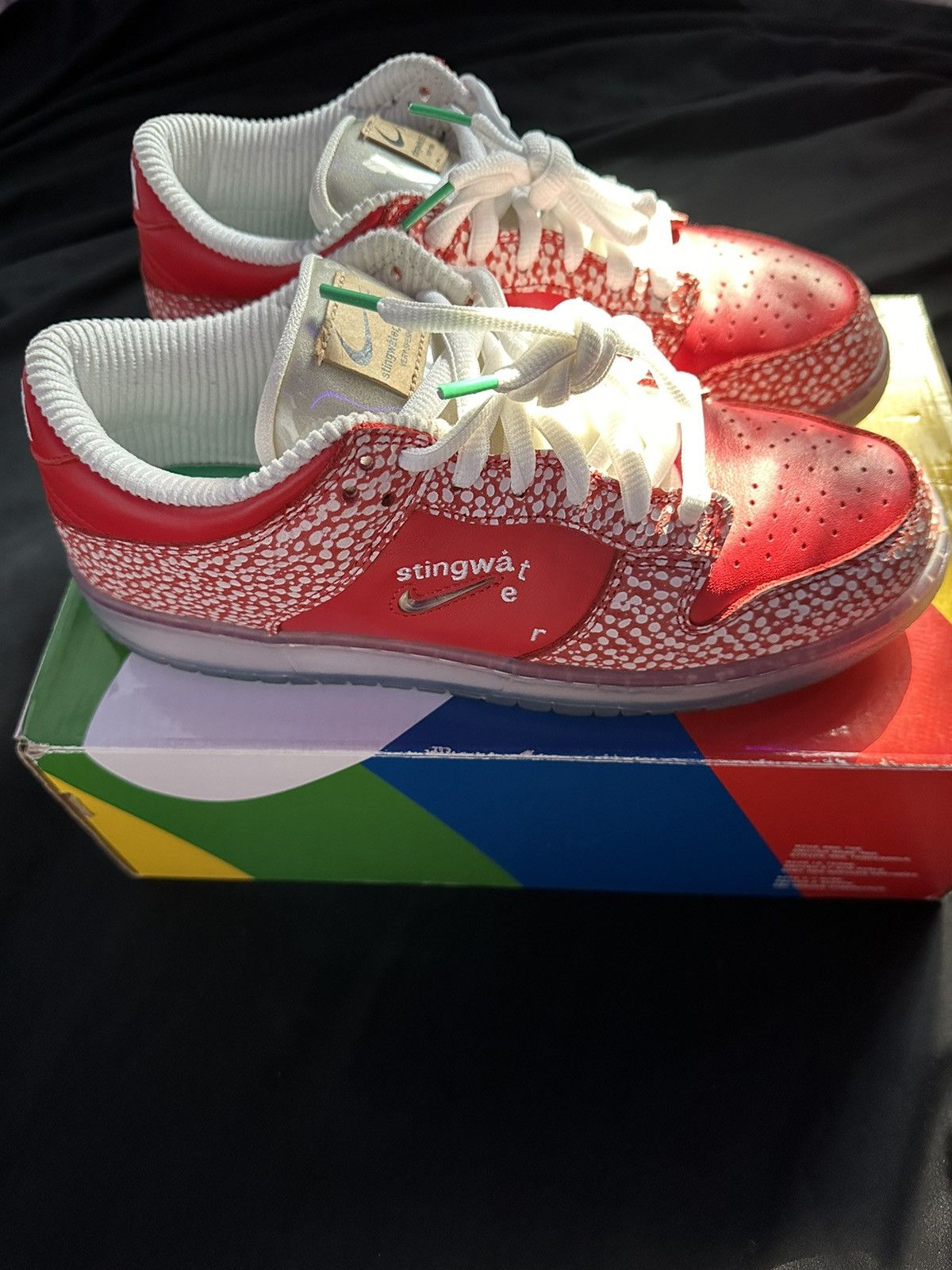 Nike × Stingwater LOW SB DUNK “STINGWATER” Size US 9.5 / EU 42-43 - 2 Thumbnail