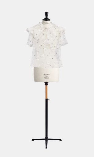 o1w1db10924 Dots Organza Top in White